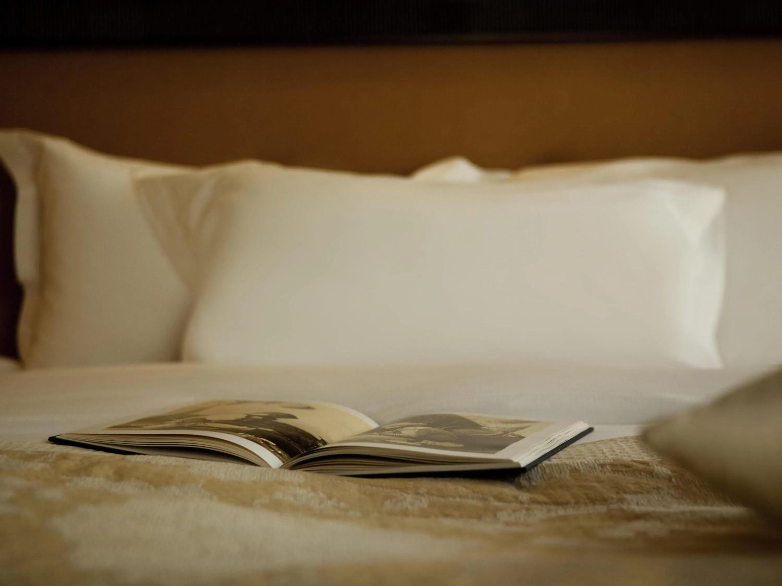 Classic Queen Room with Courtyard View in Royal Hotel Oran - MGallery Collection