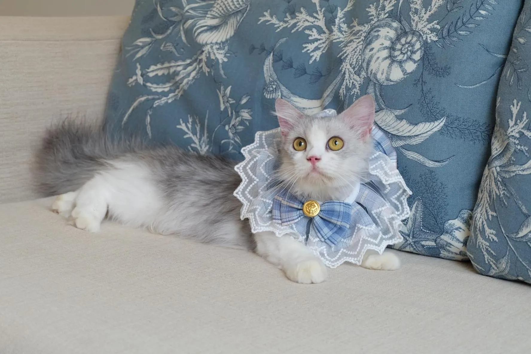 Blu Suite - Pet Friendly in Blu Marine Hua Hin Resort and Villas