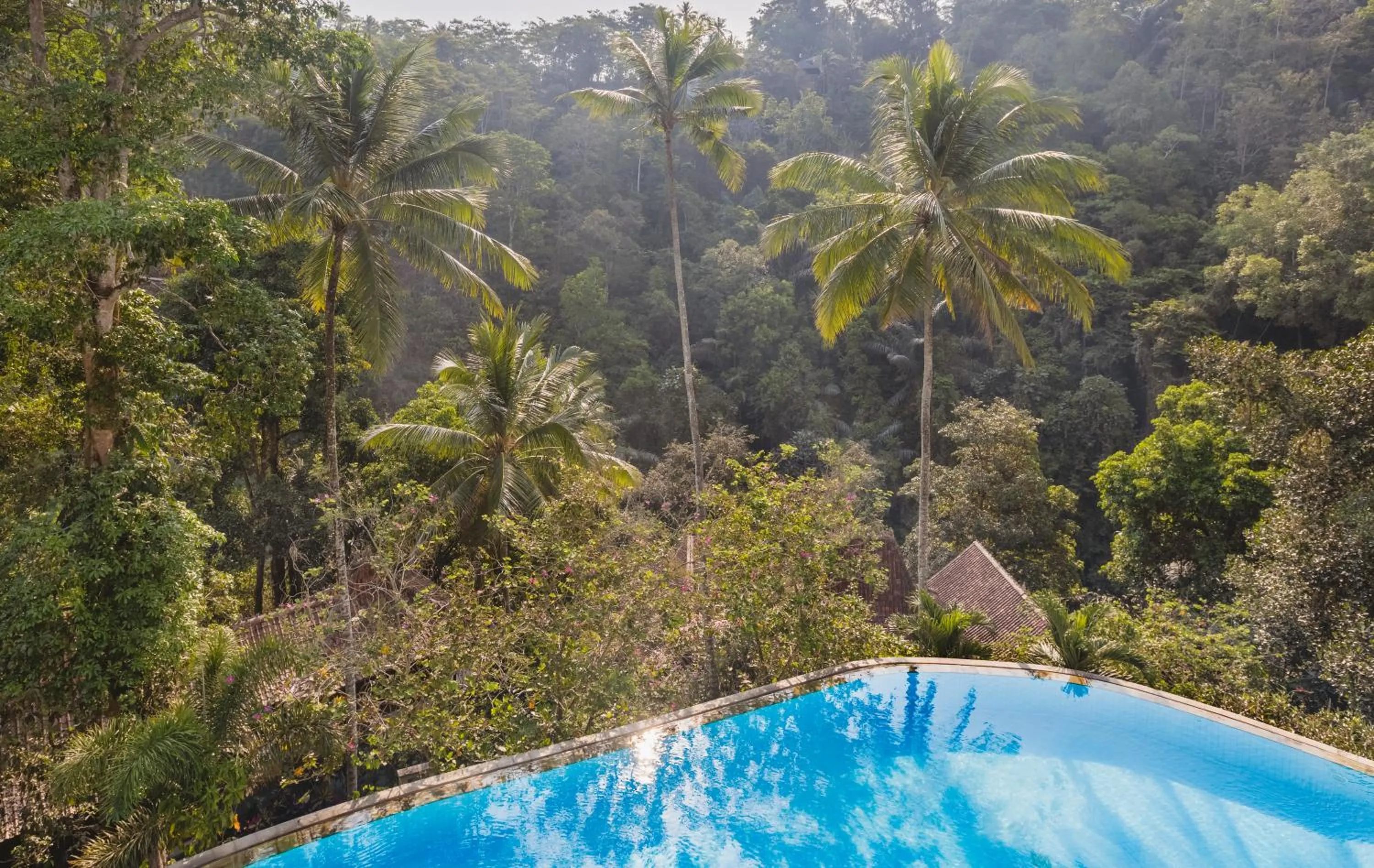 Premier Twin Room with Valley View or Pool View (Free Daily Afternoon Tea) in Ayung Resort Ubud