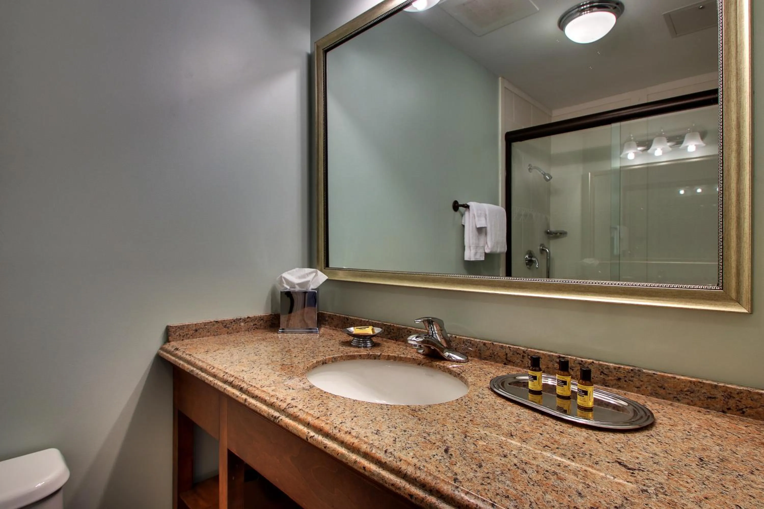 Deluxe King Suite in The Inn at Wise