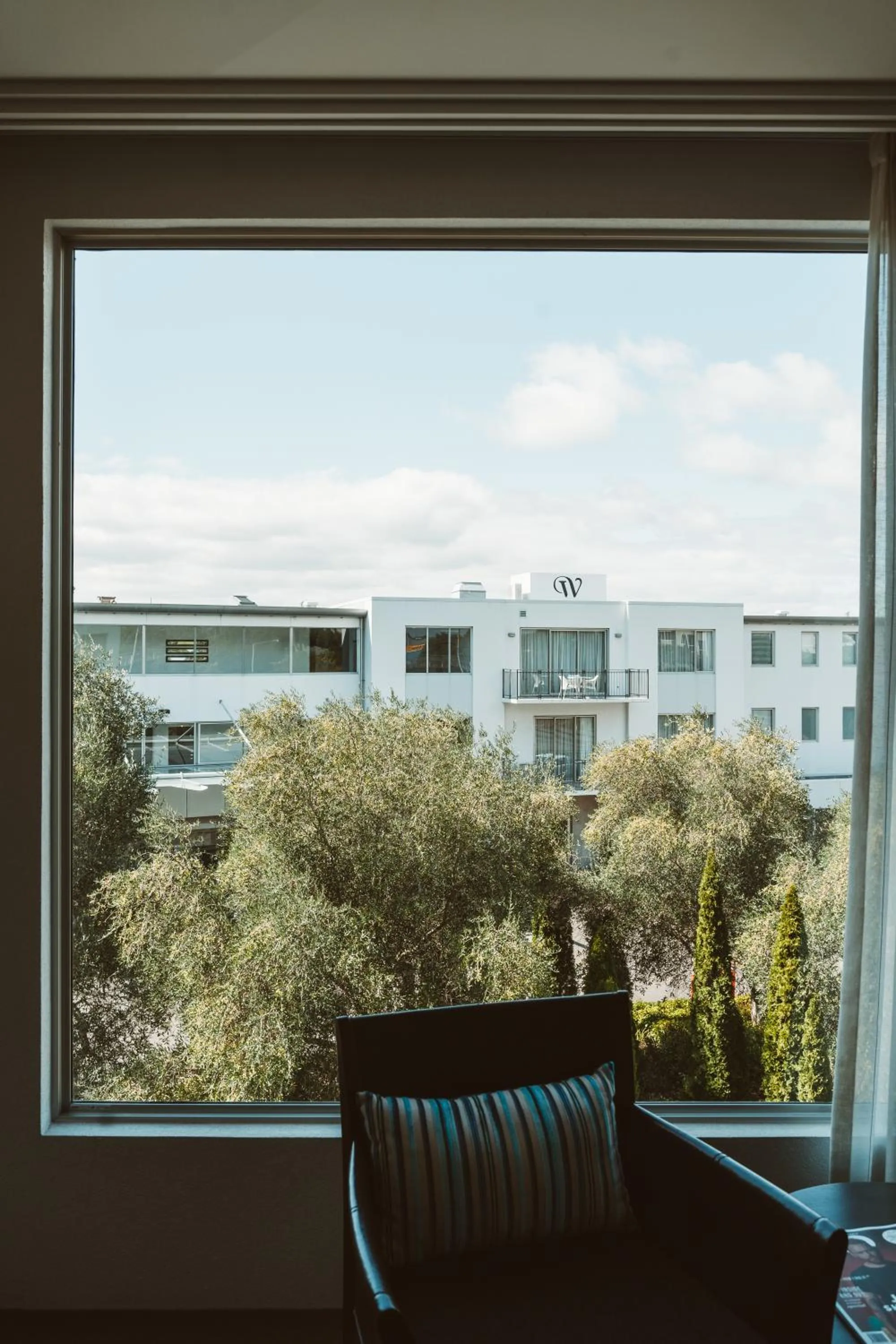 Urban King in Trinity Wharf Tauranga