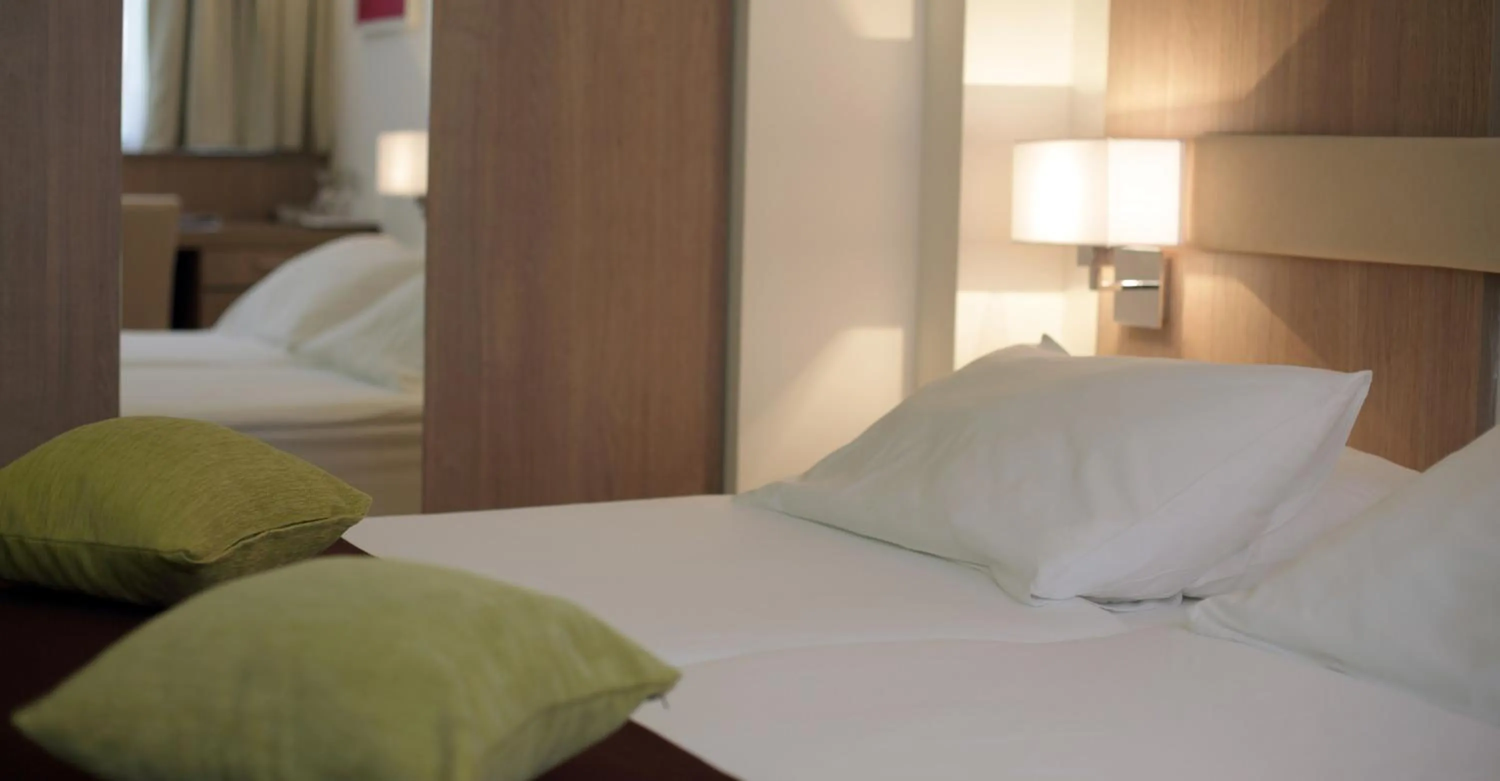 Economy Double Room in Hotel Park Makarska