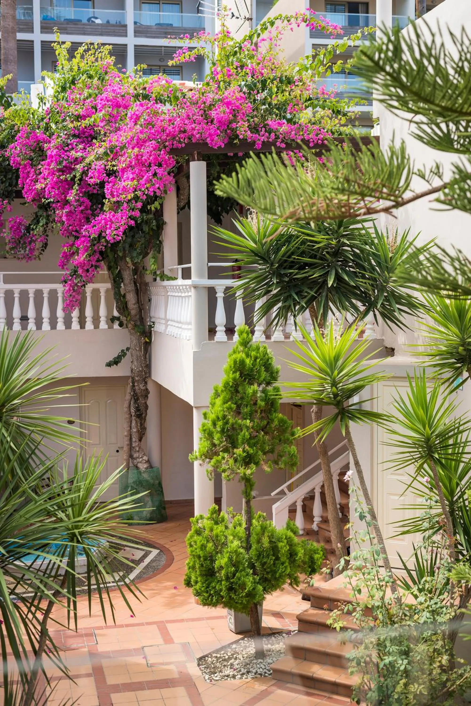 Junior Suite with Balcony - single occupancy in Elotis Suites