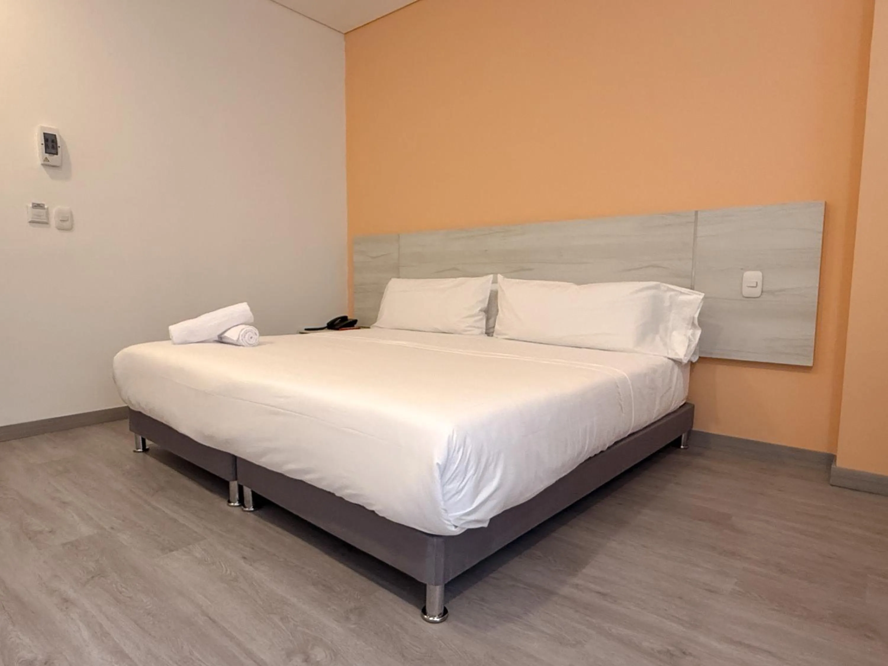 Standard Double Room in Hotel Apartamentos Regency La Feria
