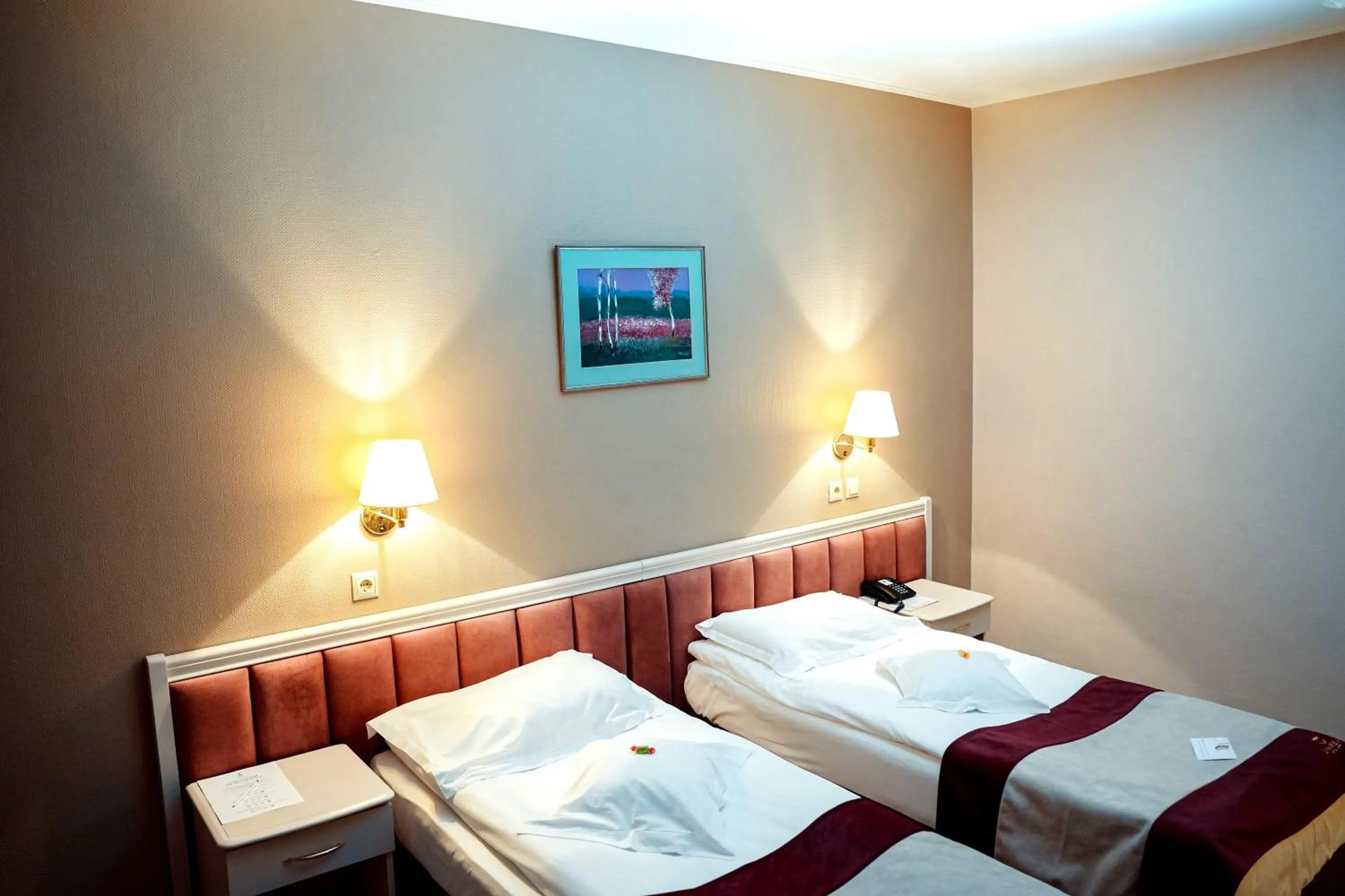 Business Twin Room - single occupancy - Non-Smoking in Unirea Hotel & Spa