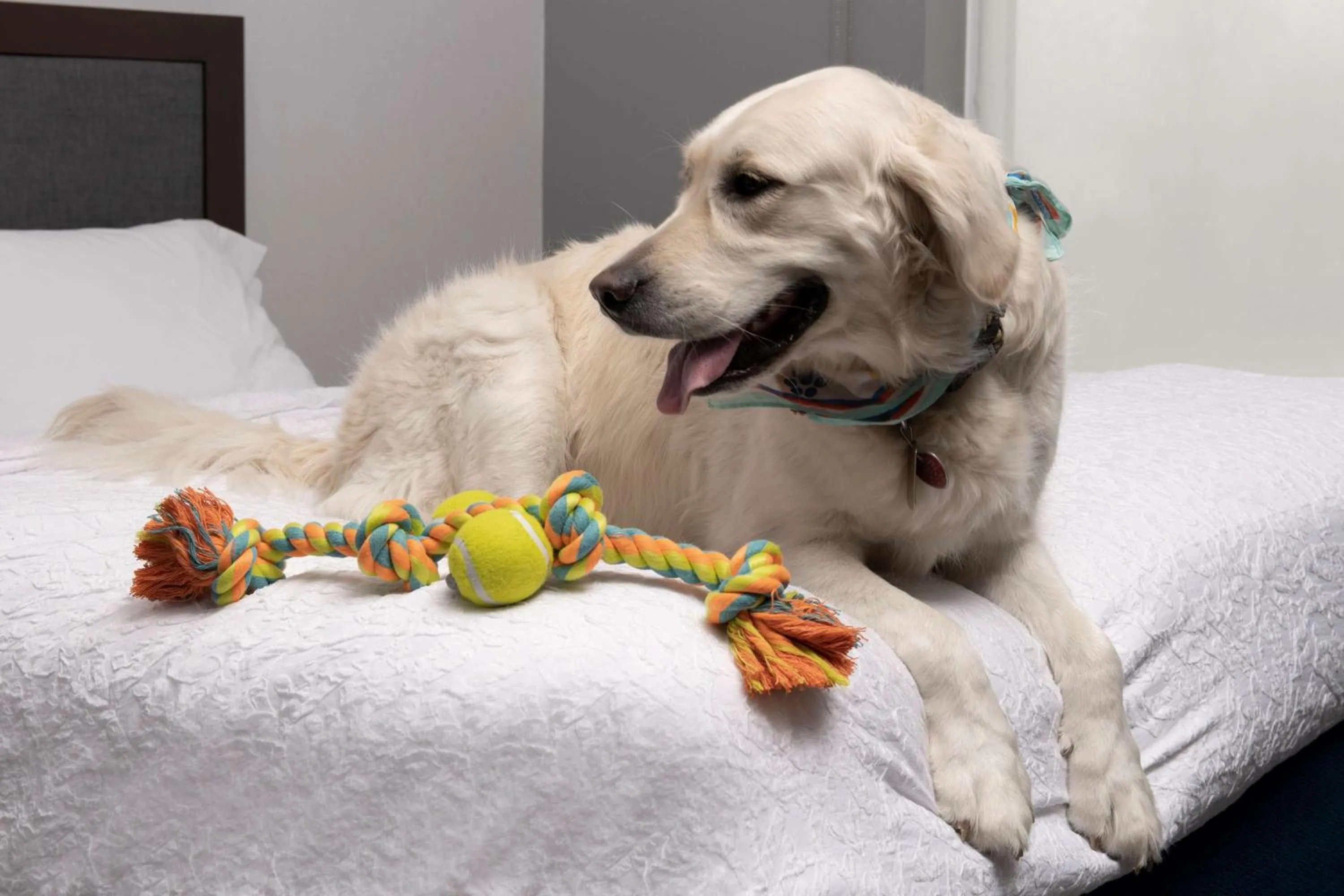 Queen Room with Two Queen Beds in Hampton Inn & Suites Rapid City Rushmore, SD
