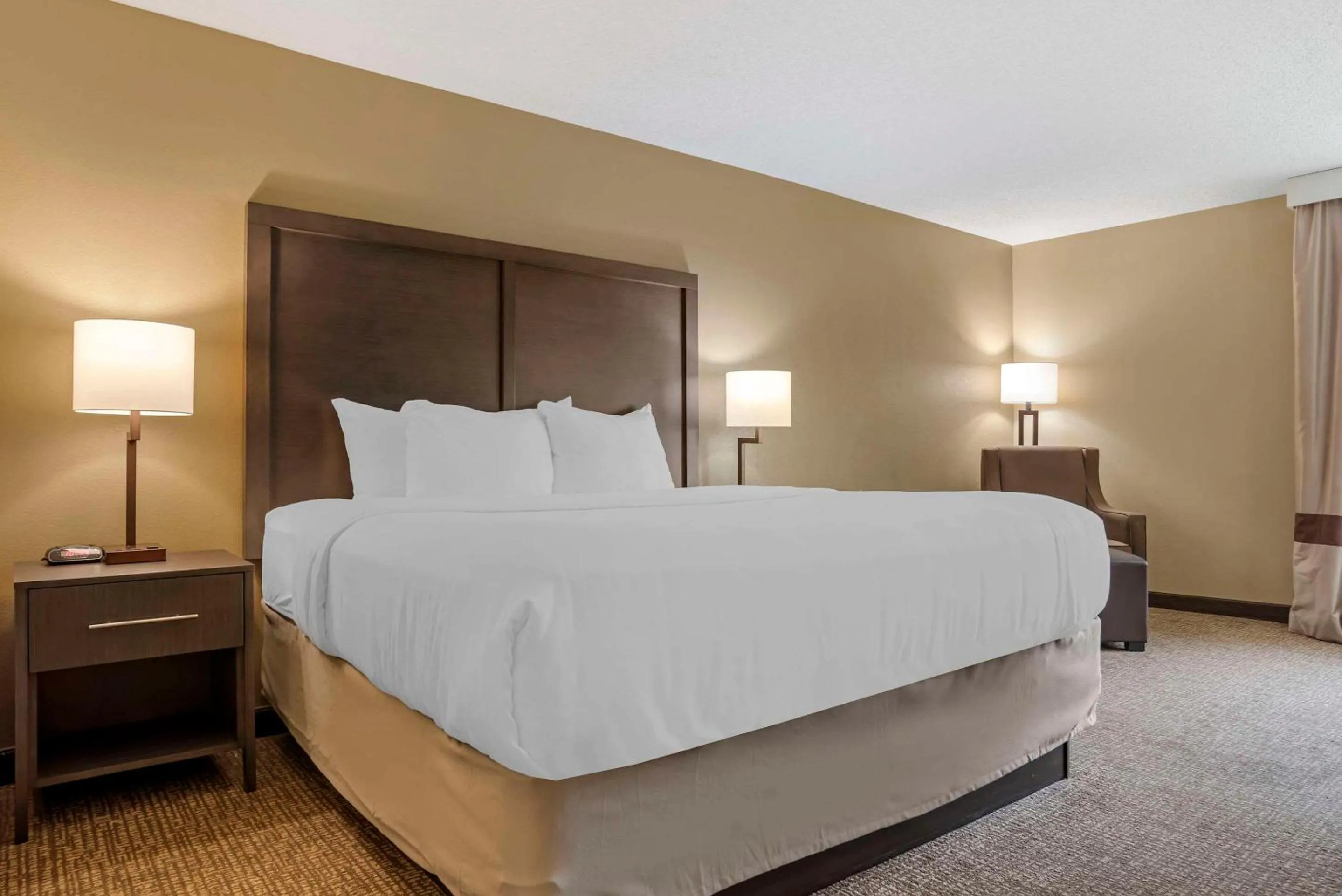 King Room - Non-Smoking in Comfort Inn Opelika - Auburn