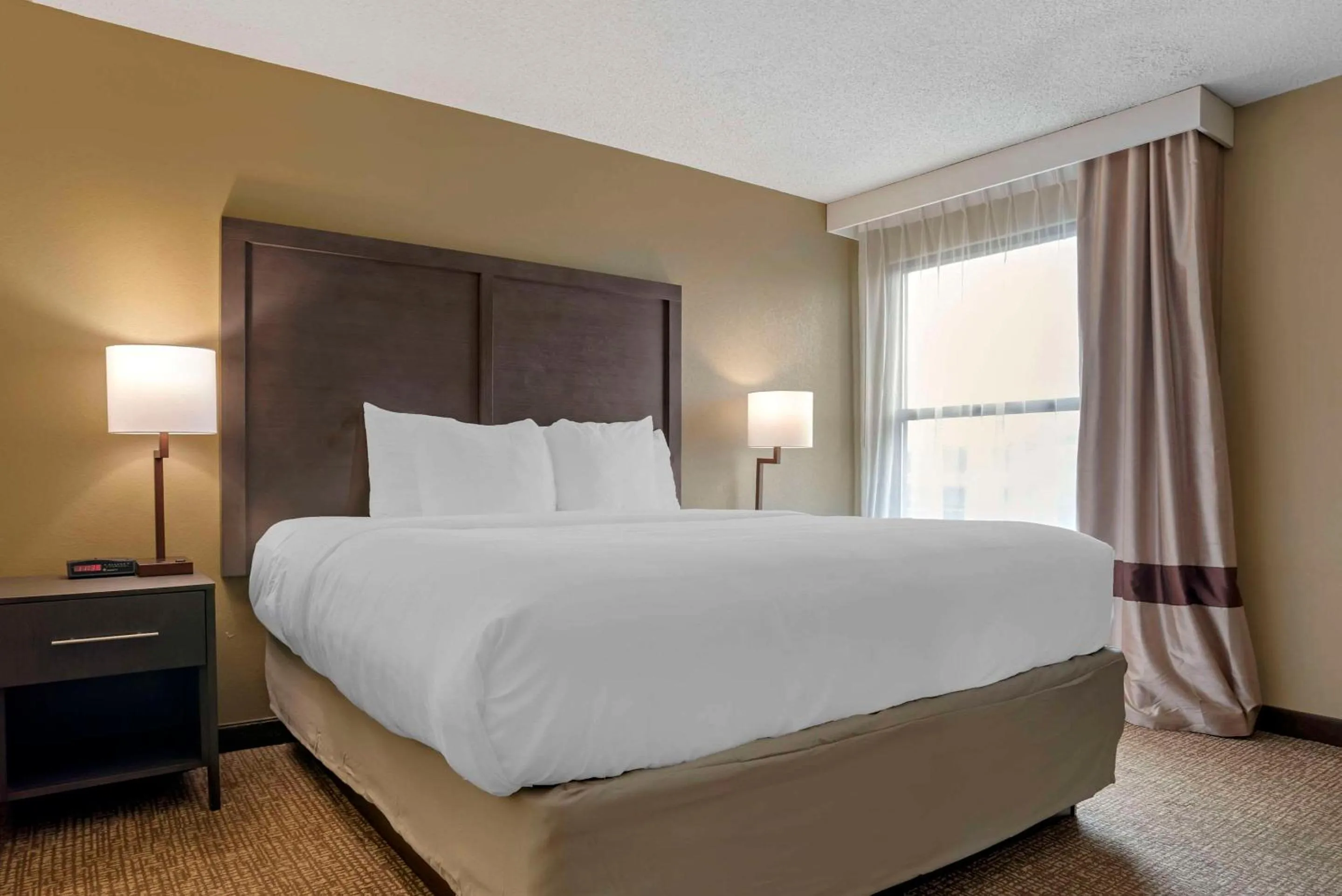 King Suite - Non-Smoking in Comfort Inn Opelika - Auburn
