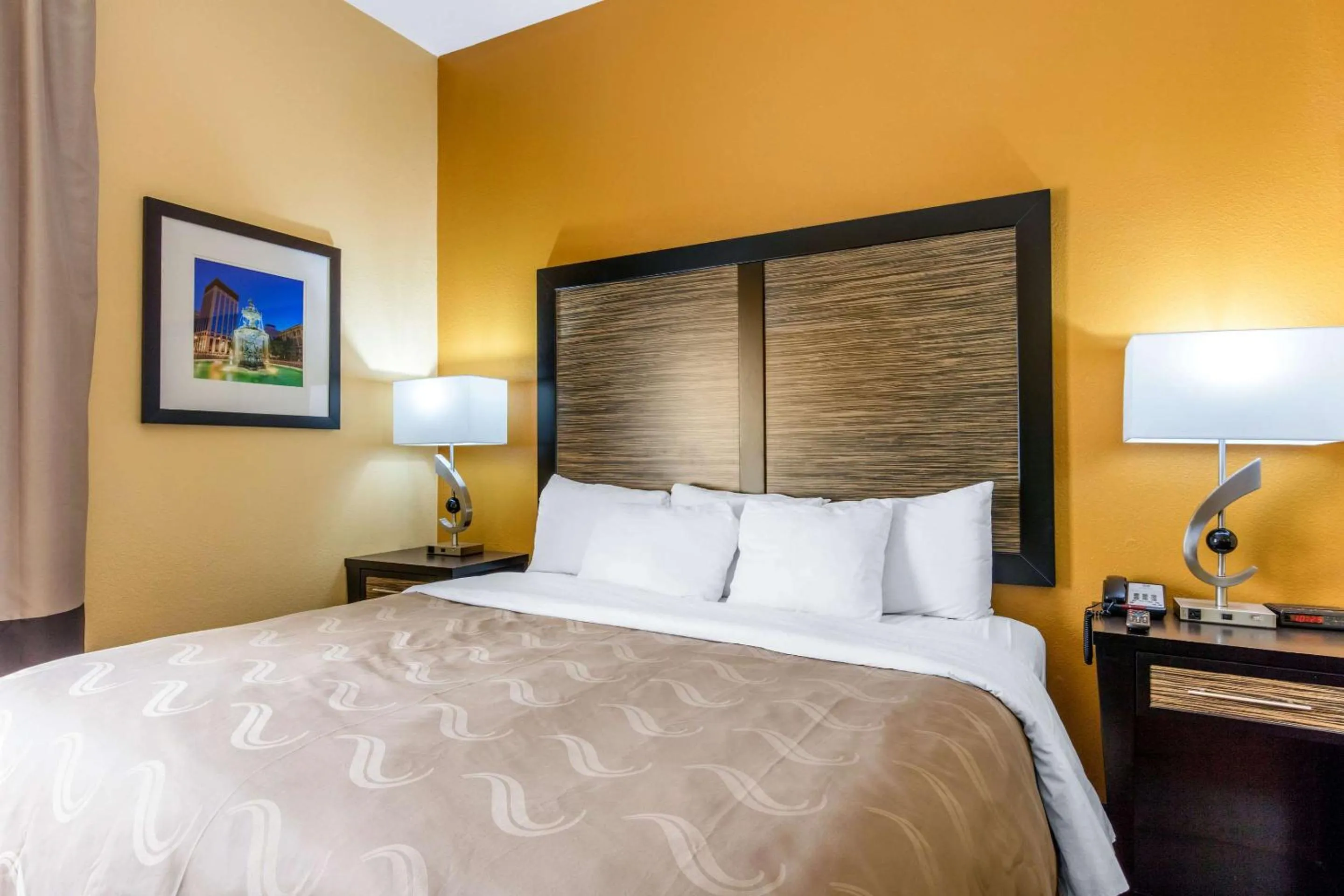 King Room - Non-Smoking in Quality Inn & Suites Montgomery East Carmichael Rd