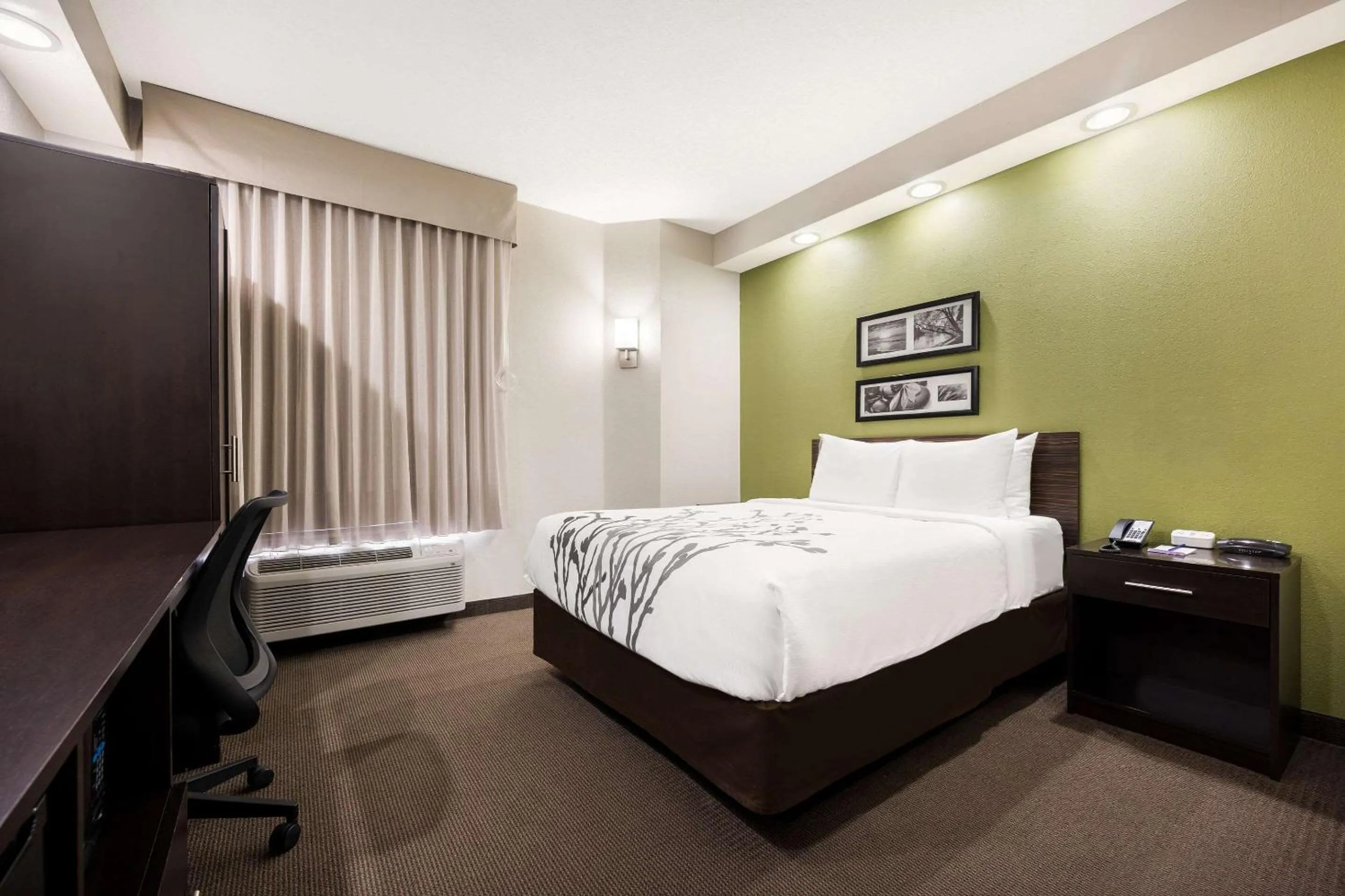 Queen Room - Non Smoking in Sleep Inn Athens I-65