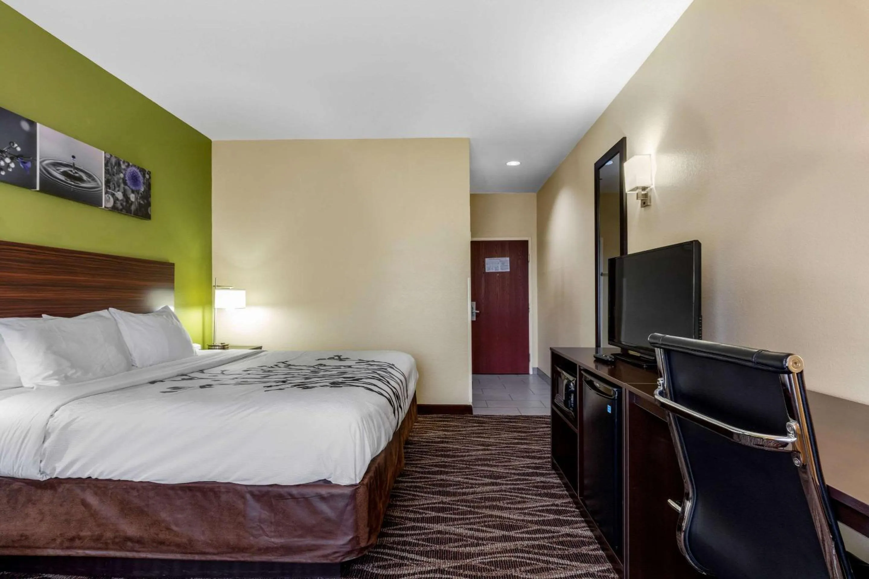 King Room - Non-Smoking in Sleep Inn & Suites Millbrook - Prattville