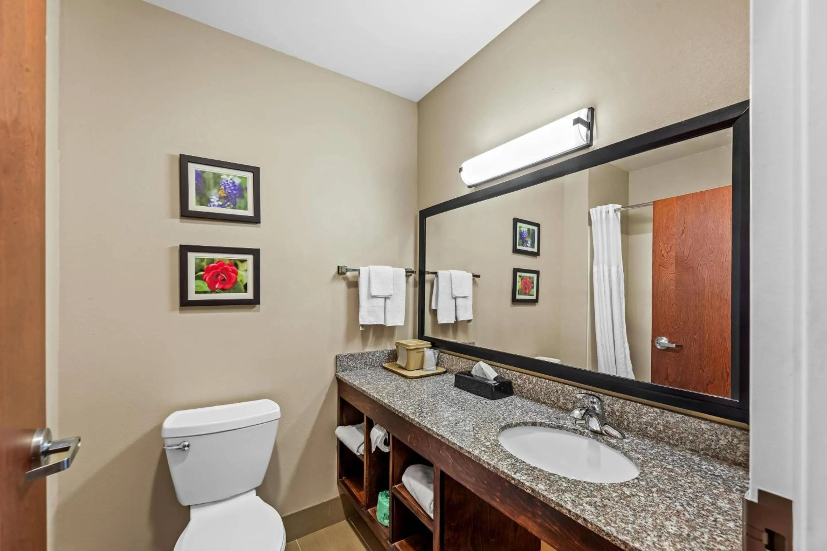King Suite - Non-Smoking in Comfort Inn & Suites Tuscumbia-Muscle Shoals