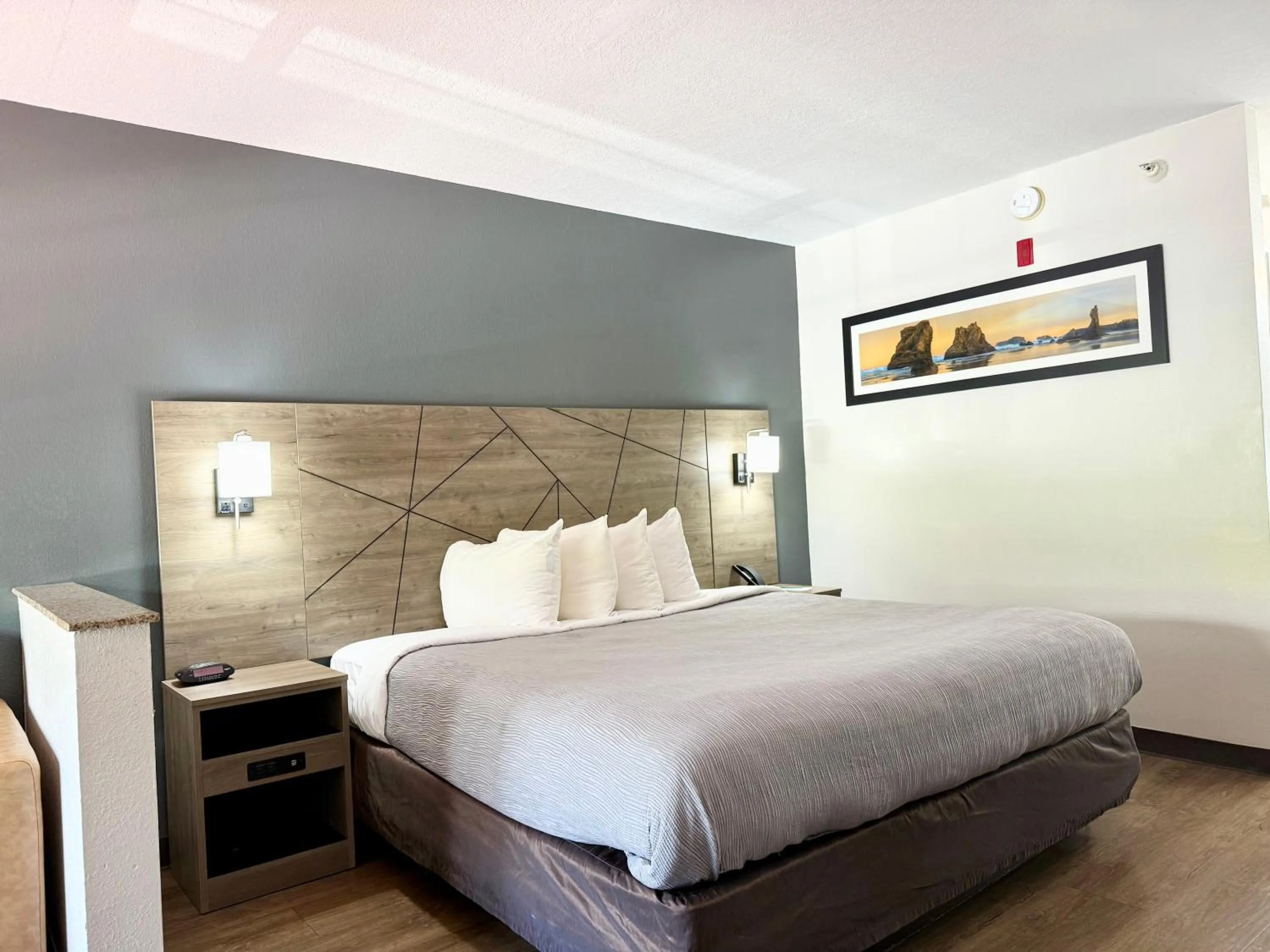 King Suite with Sofa Bed - Non-Smoking in Quality Inn & Suites Greenville I-65