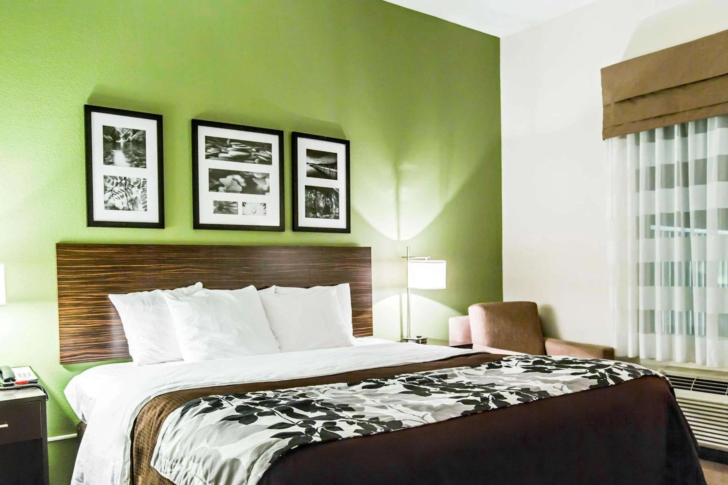 King Room - Non-Smoking in Sleep Inn & Suites Marion - Military Institute