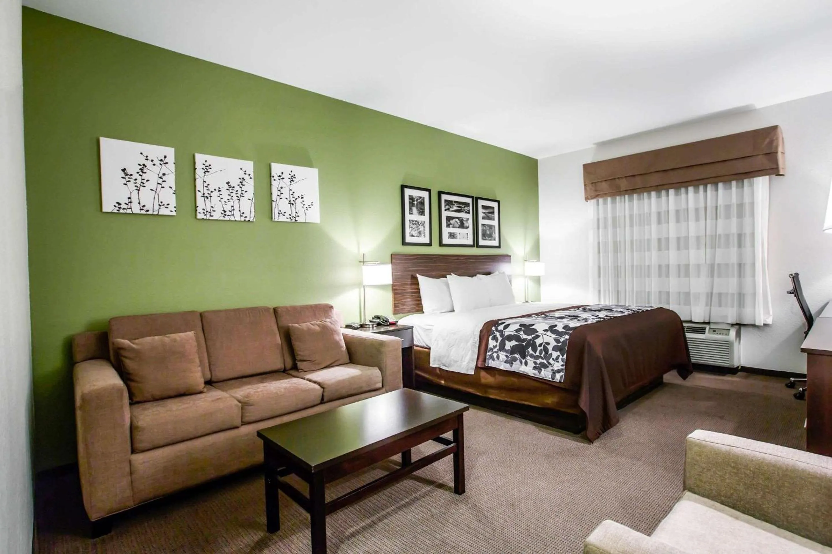 King Suite - Non-Smoking in Sleep Inn & Suites Marion - Military Institute