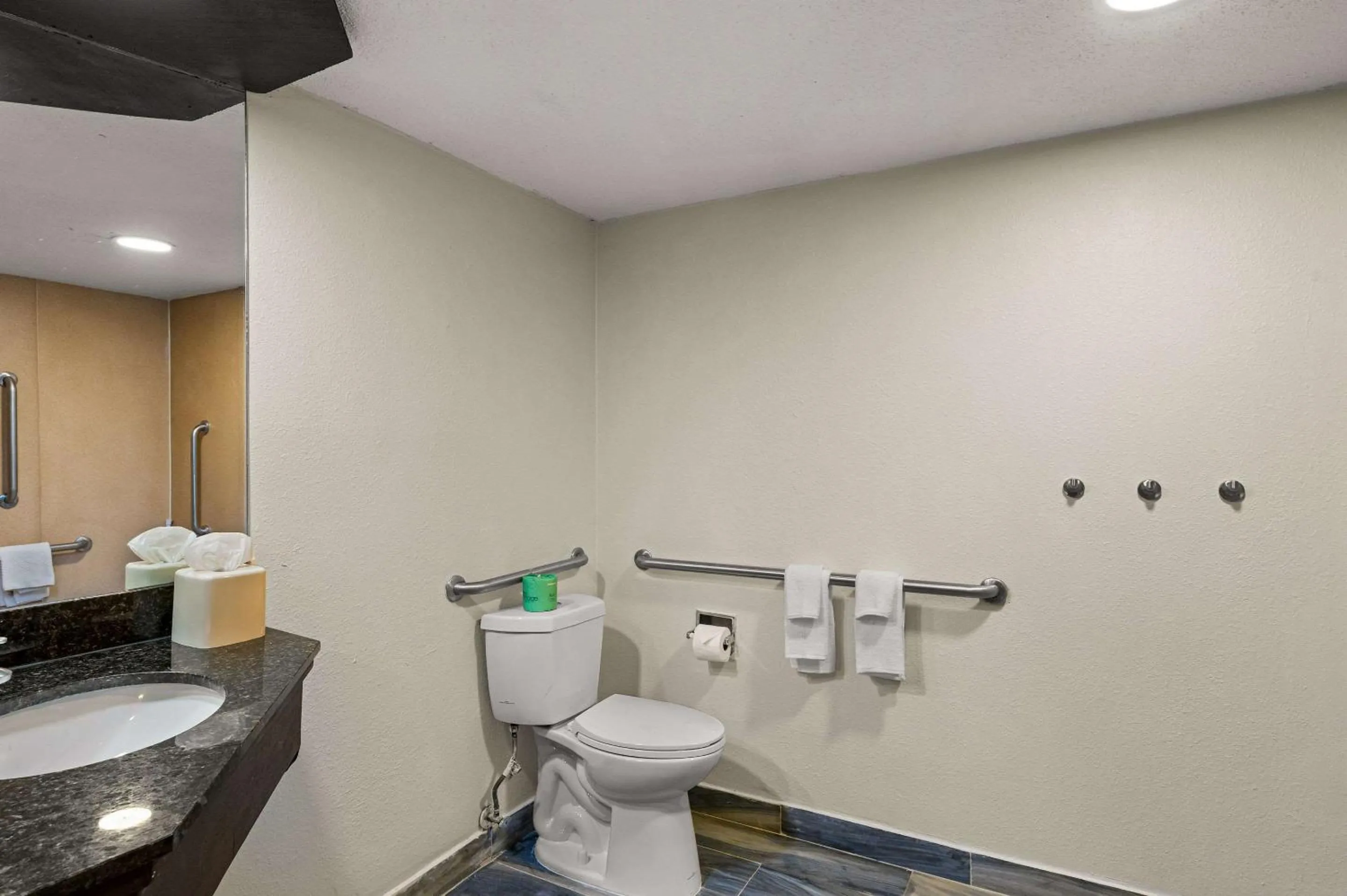 Queen Room - Accessible/Non Smoking in Quality Inn & Suites North Little Rock