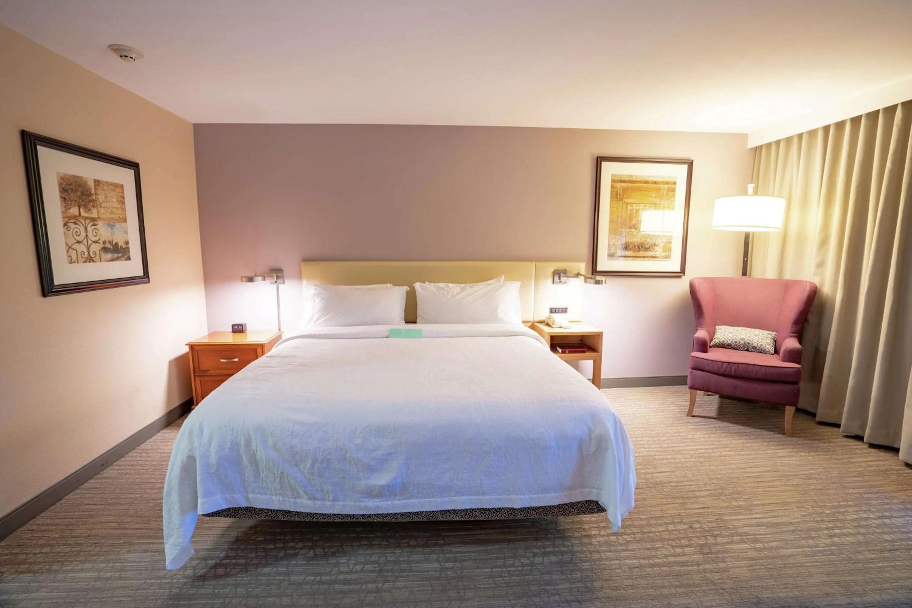 Premium King Room in Hilton Garden Inn Seattle/Renton