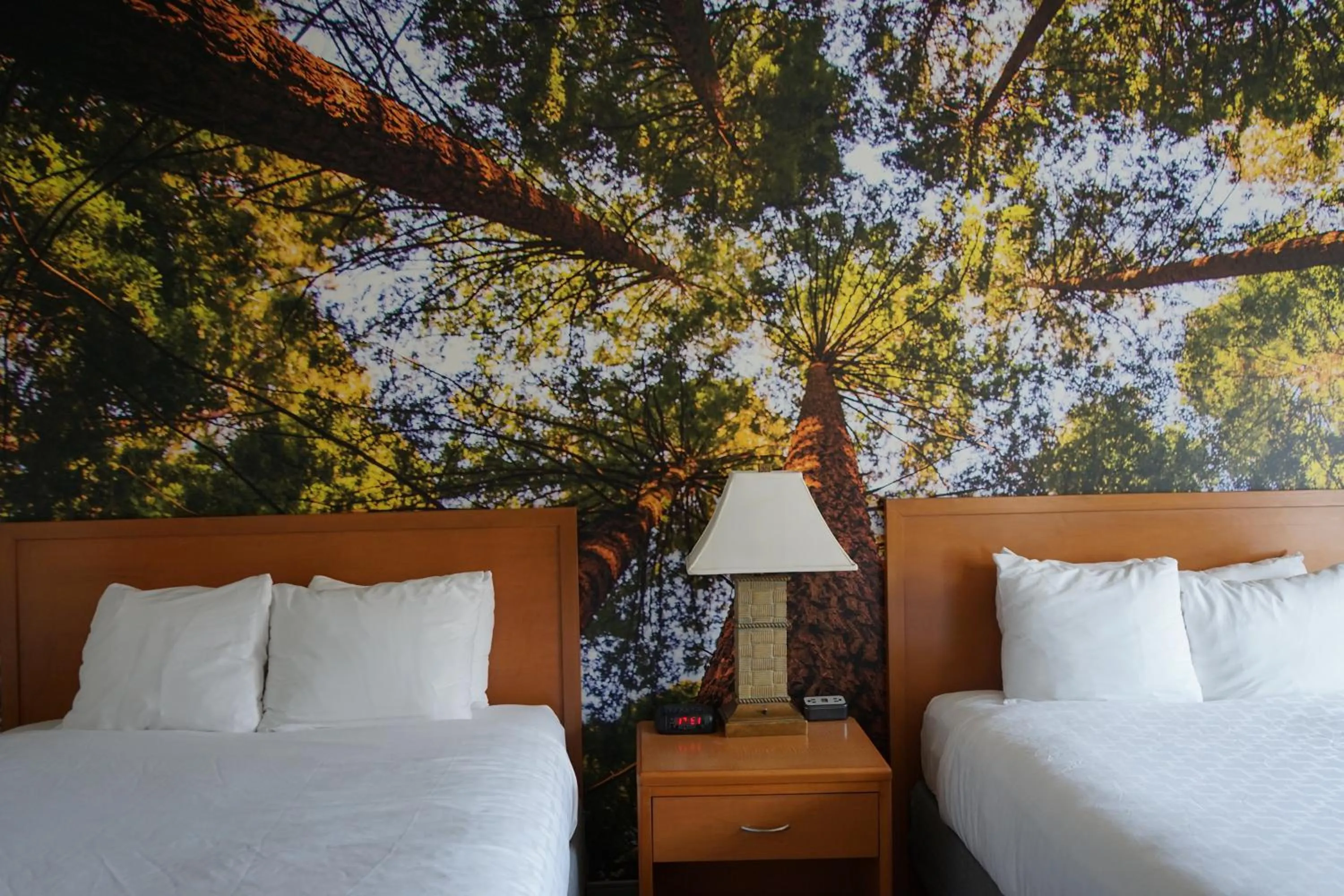 Queen Room with Two Queen Beds - Accessible/Non-Smoking  in Comfort Inn Hanford Lemoore