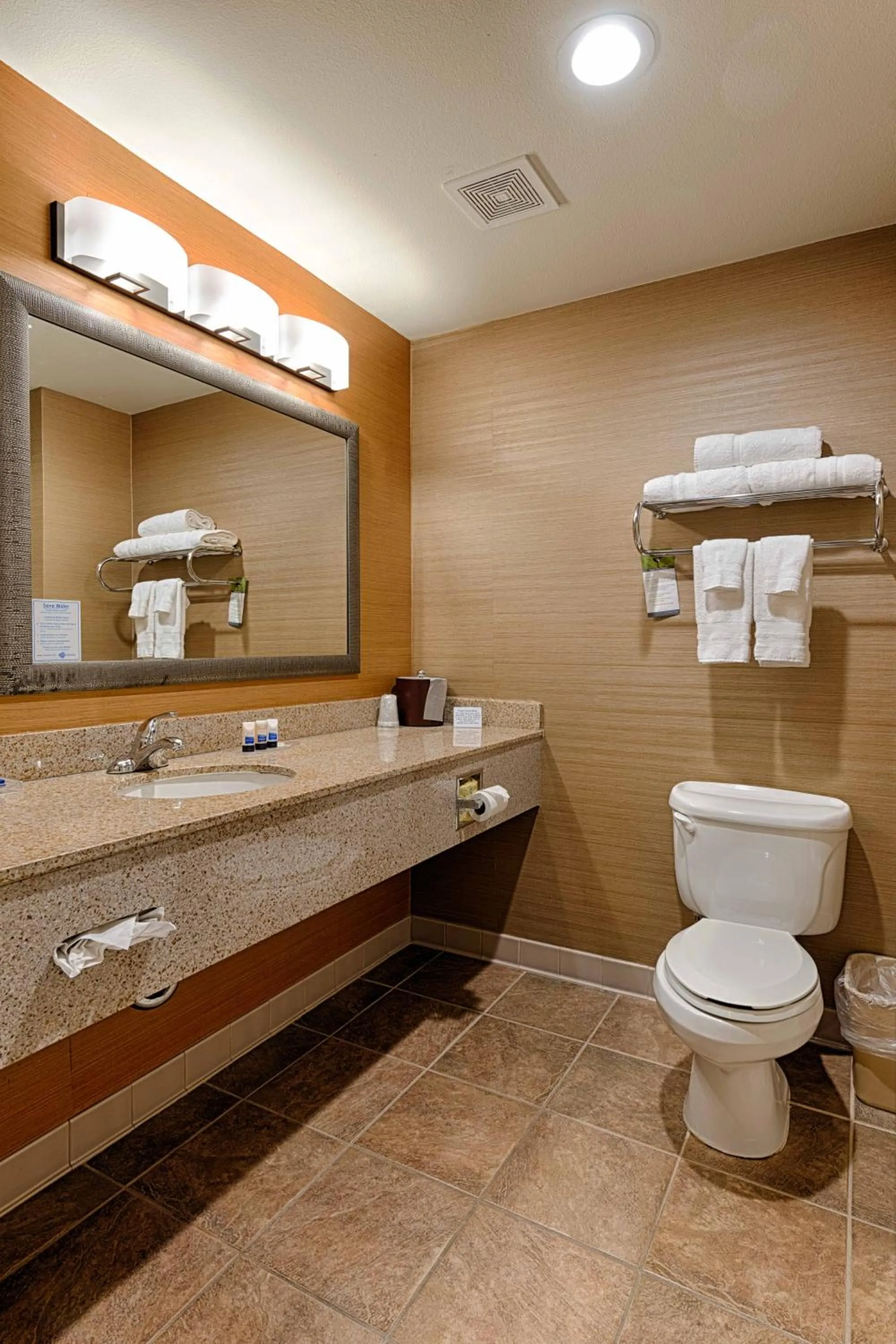 One-Bedroom Queen Suite - Non-Smoking in Best Western Plus Delta Inn & Suites