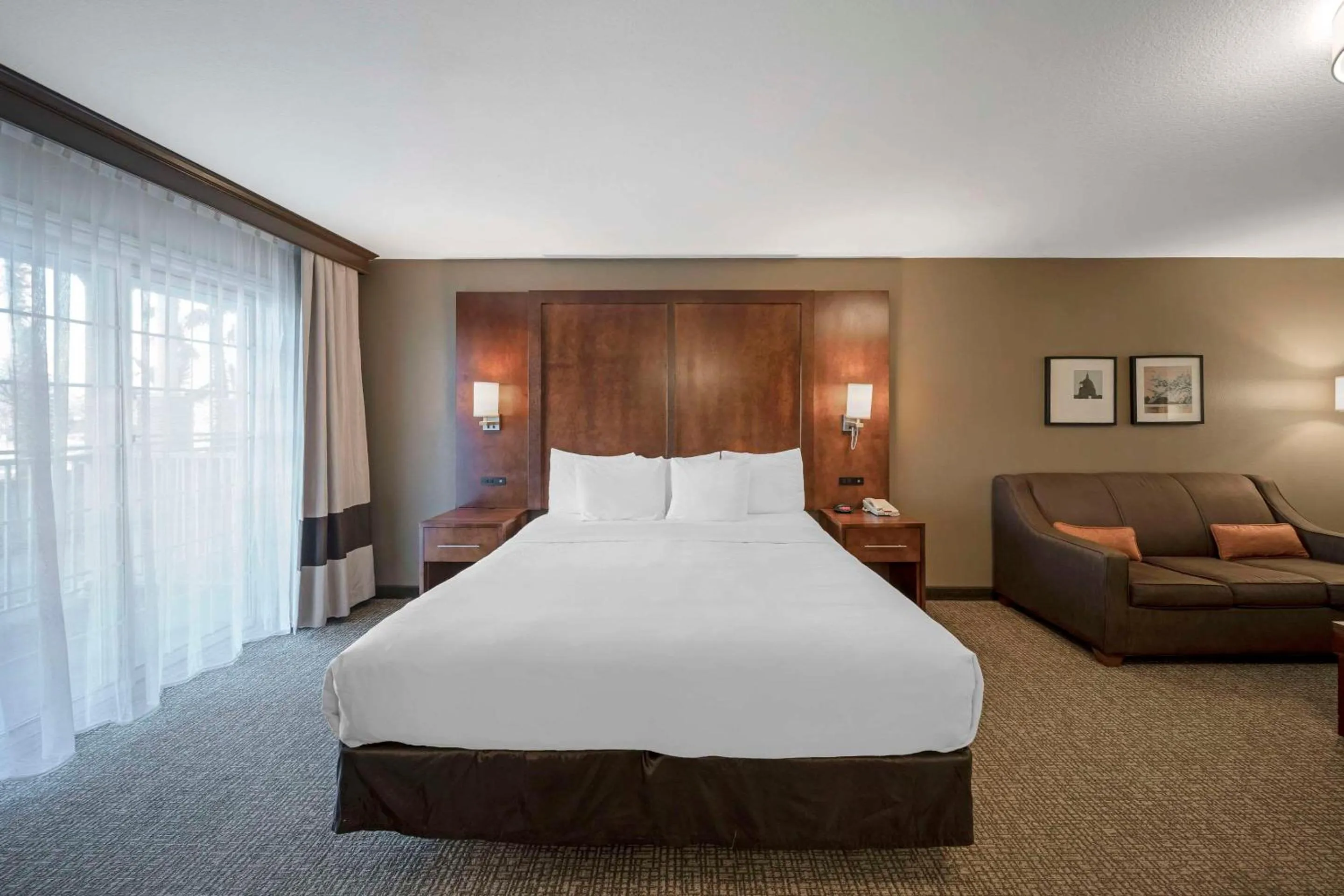 King Room - Disability Access/Non-Smoking in Comfort Suites Red Bluff near I-5