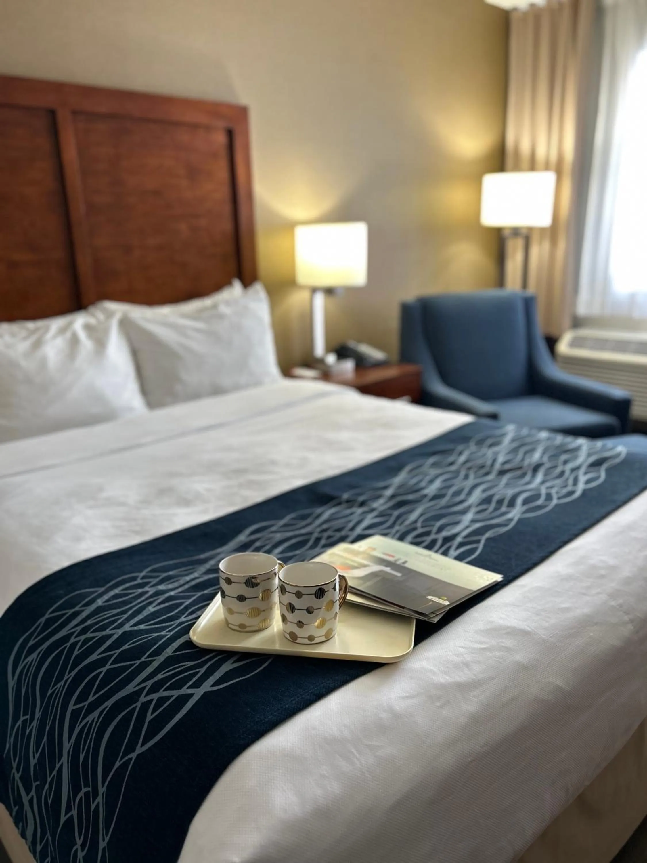 Standard Queen Room in Comfort Inn