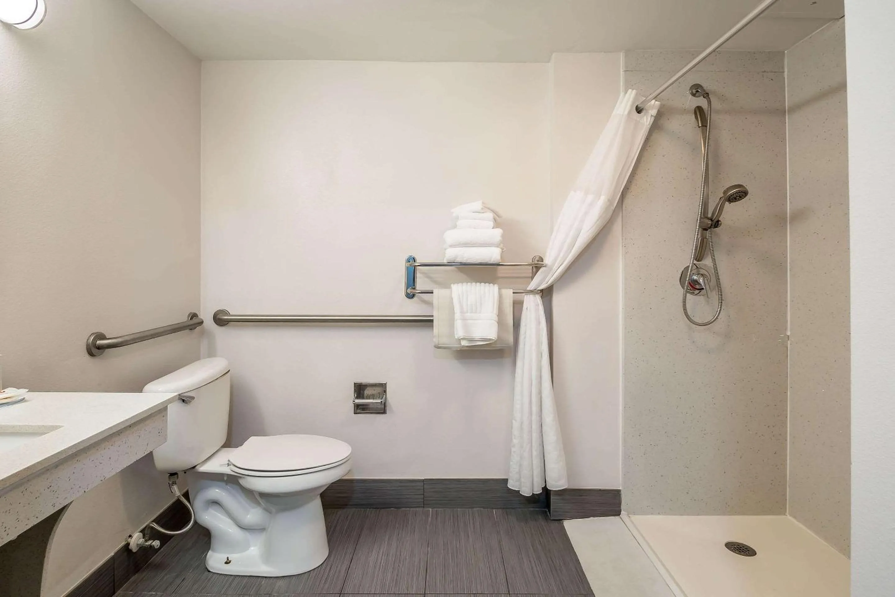 King Room with Roll-In Shower - Accessible/Non-Smoking (No Pets Allowed) in Comfort Inn University