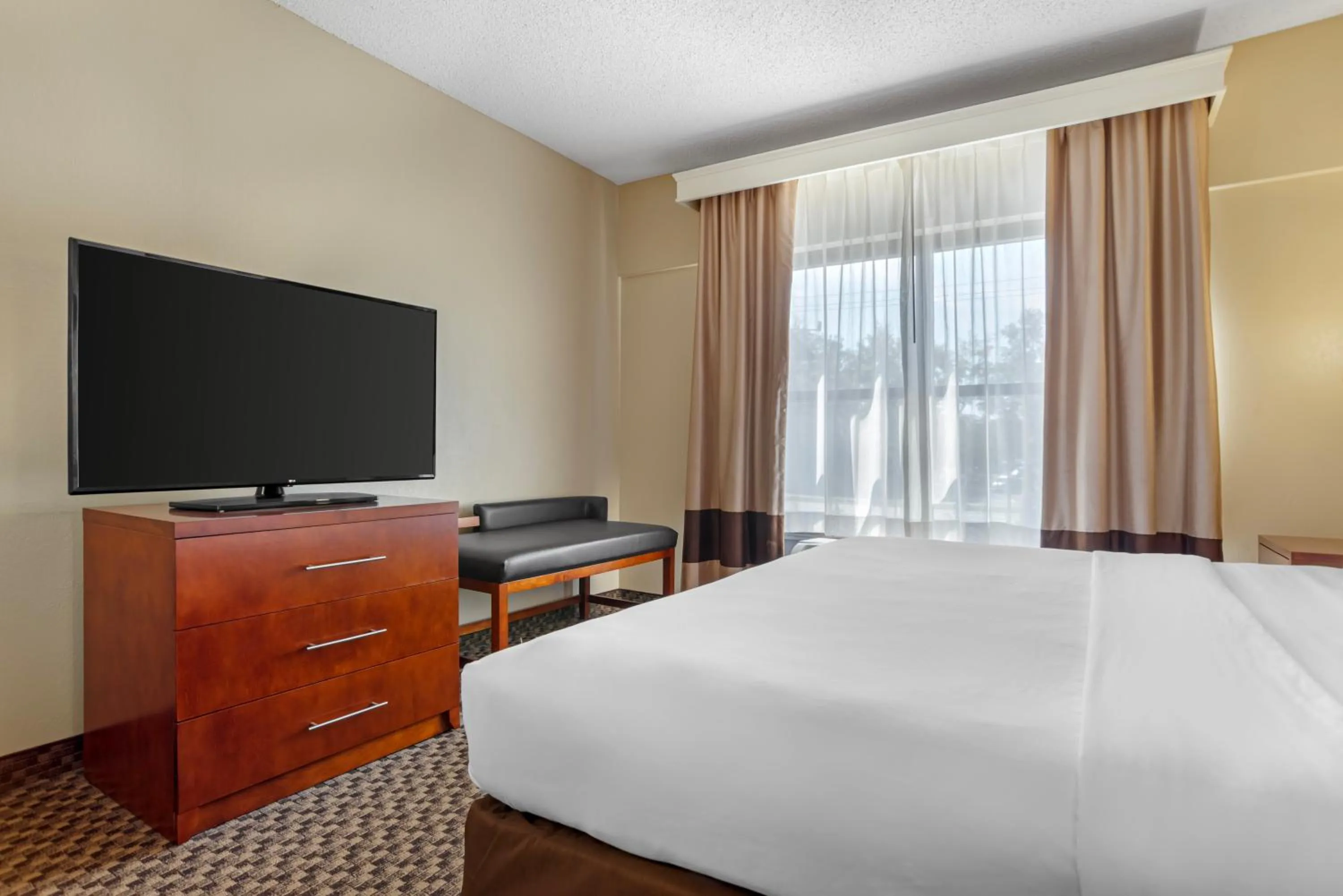 Superior King Room - Non-Smoking in Comfort Suites Tallahassee Capitol - University Area