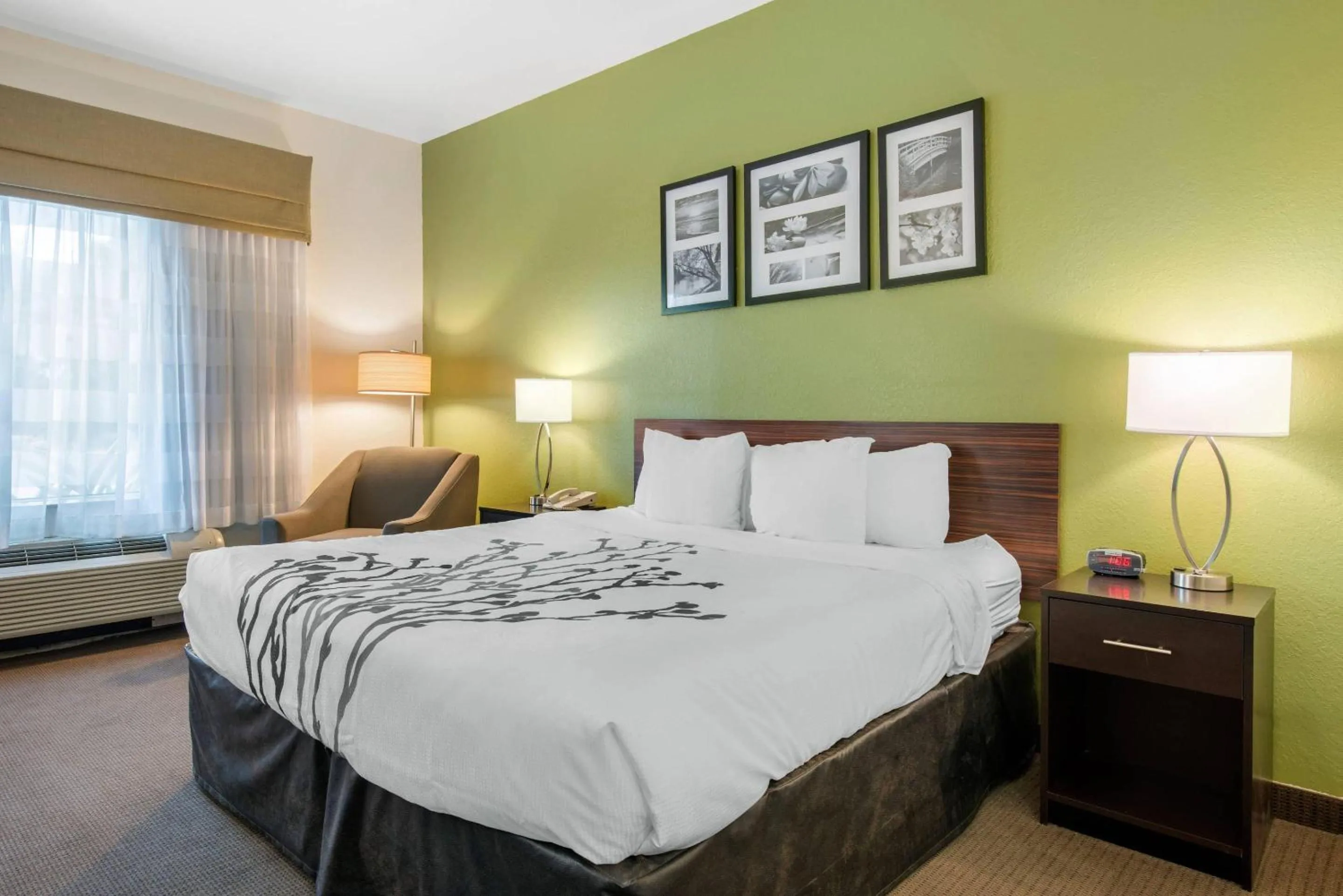King Room - Disability Access/Non-Smoking in Sleep Inn & Suites Port Charlotte-Punta Gorda