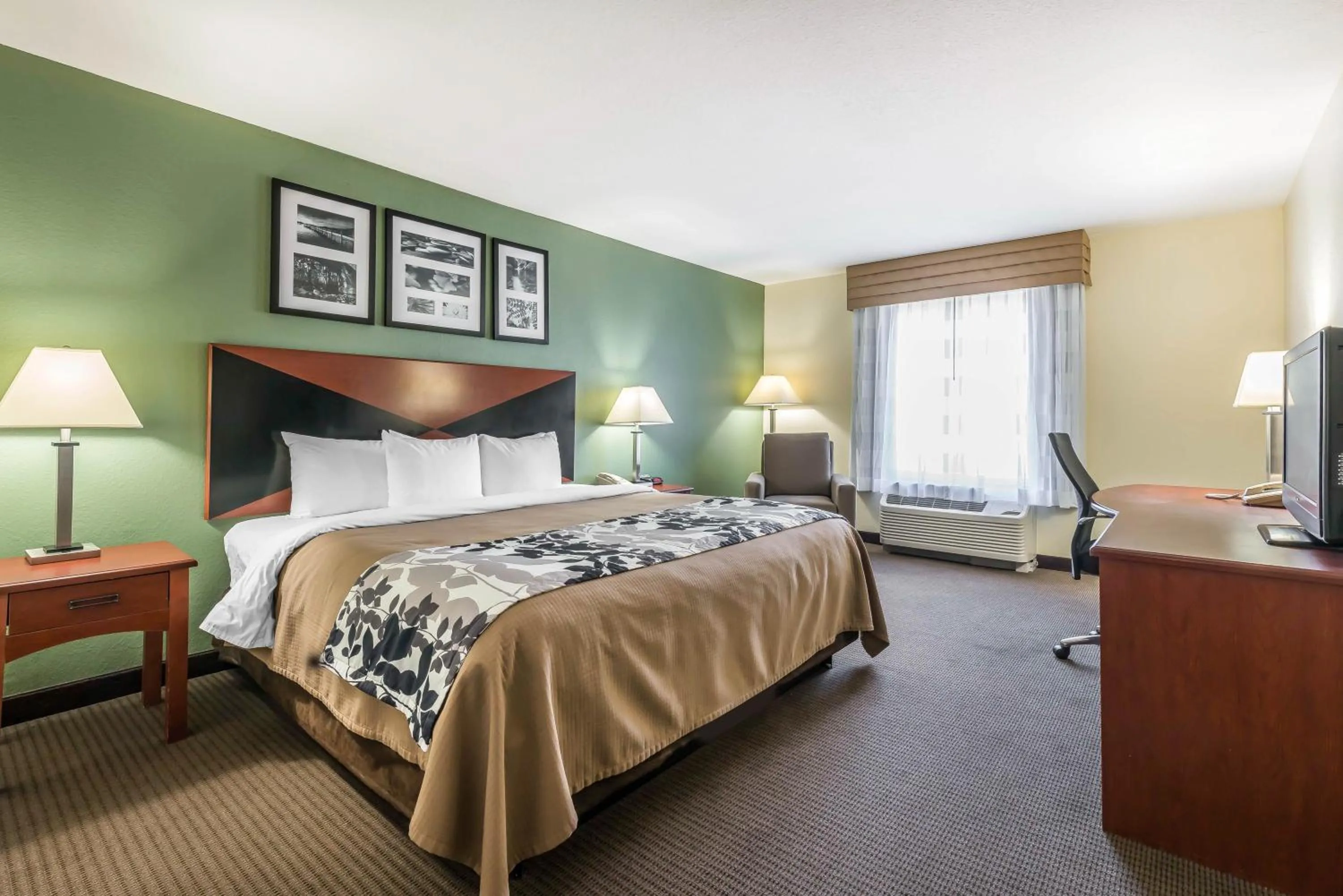 King Room - Accessible/Non-Smoking in Sleep Inn & Suites University-Shands