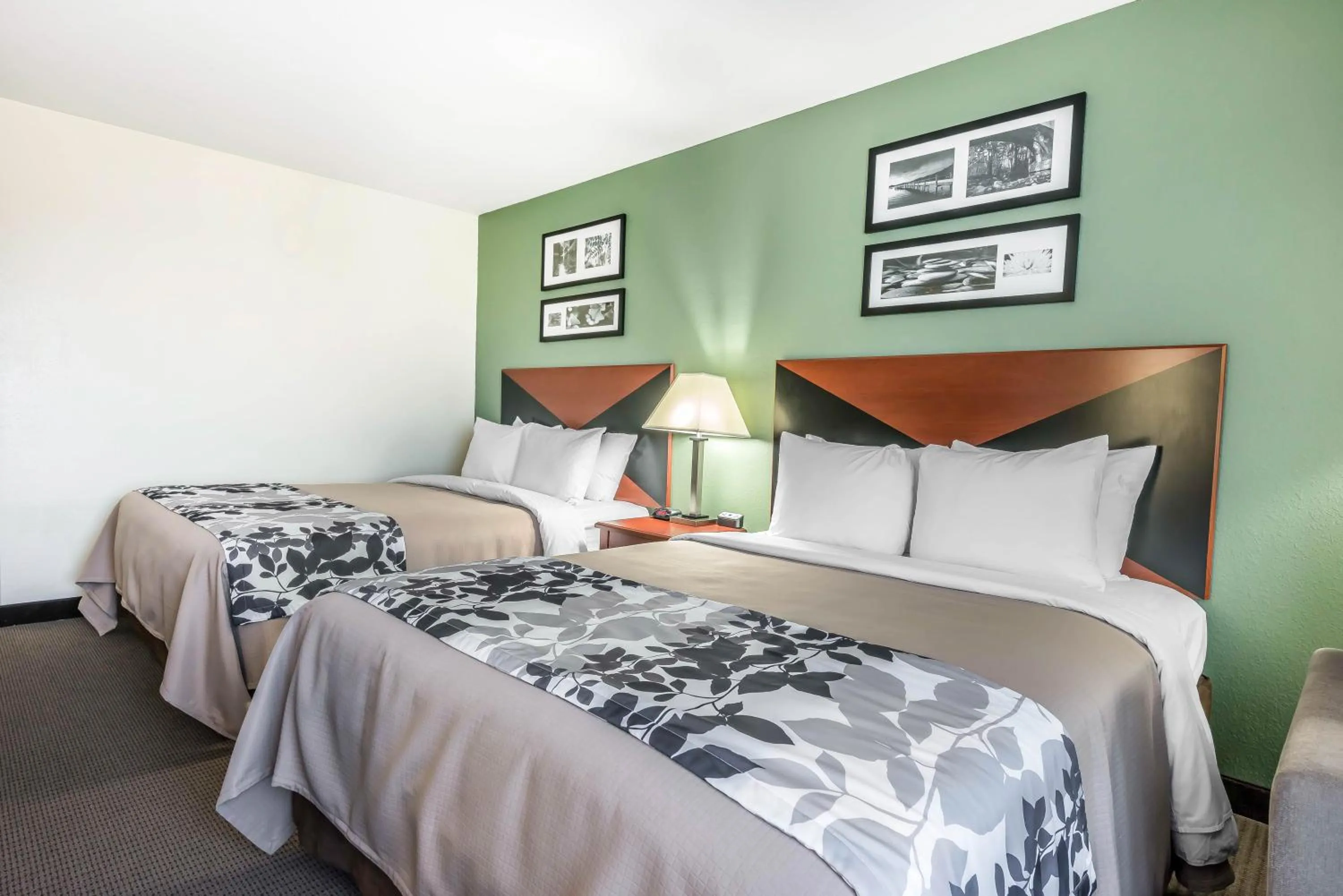 Queen Room with Two Queen Beds - Accessible/Non-Smoking  in Sleep Inn & Suites University-Shands