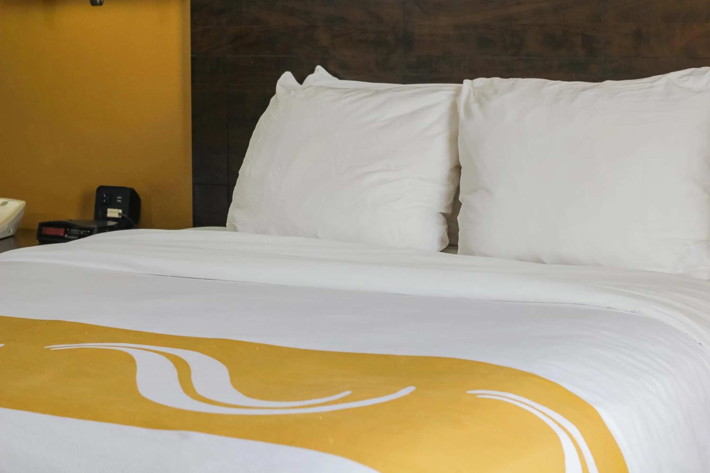 King Room - Accessible/Non-Smoking in Quality Inn Conference Center at Citrus Hills