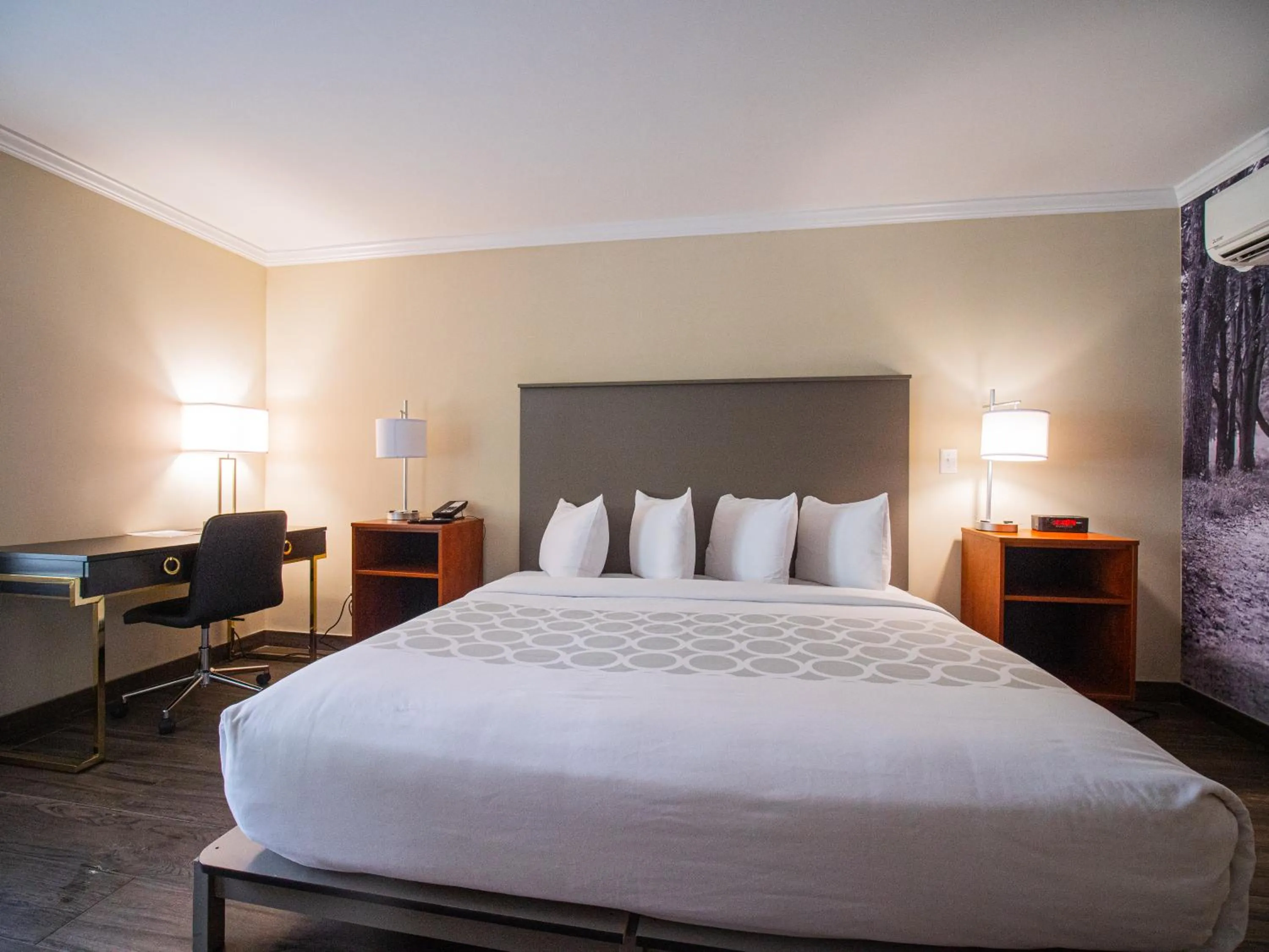 King Room - Disability Access in Equus Inn I75