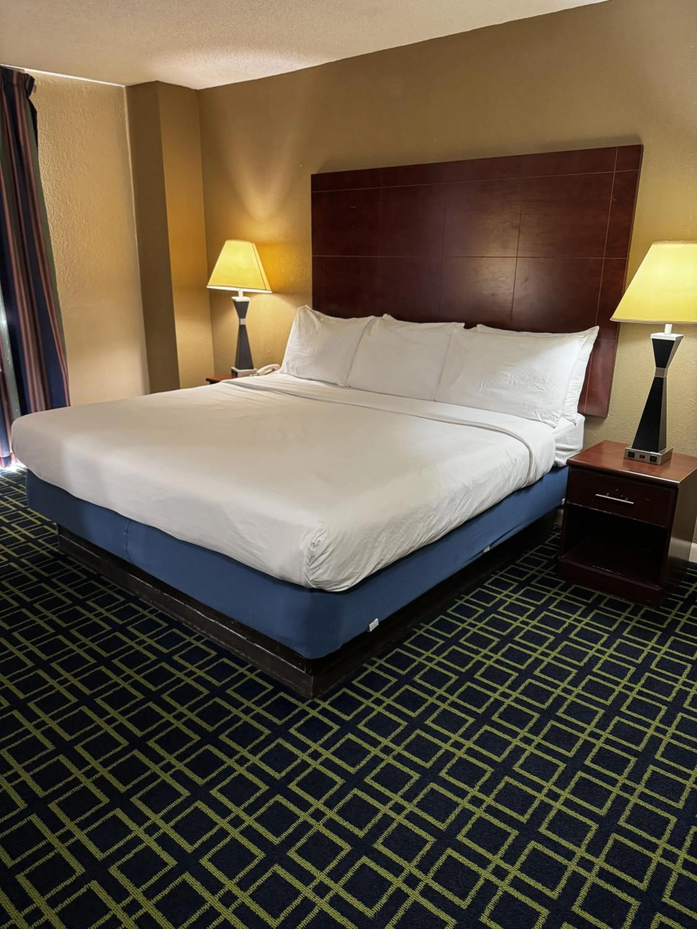 Business King Room - single occupancy in Barclay Hotel Atlanta Downtown