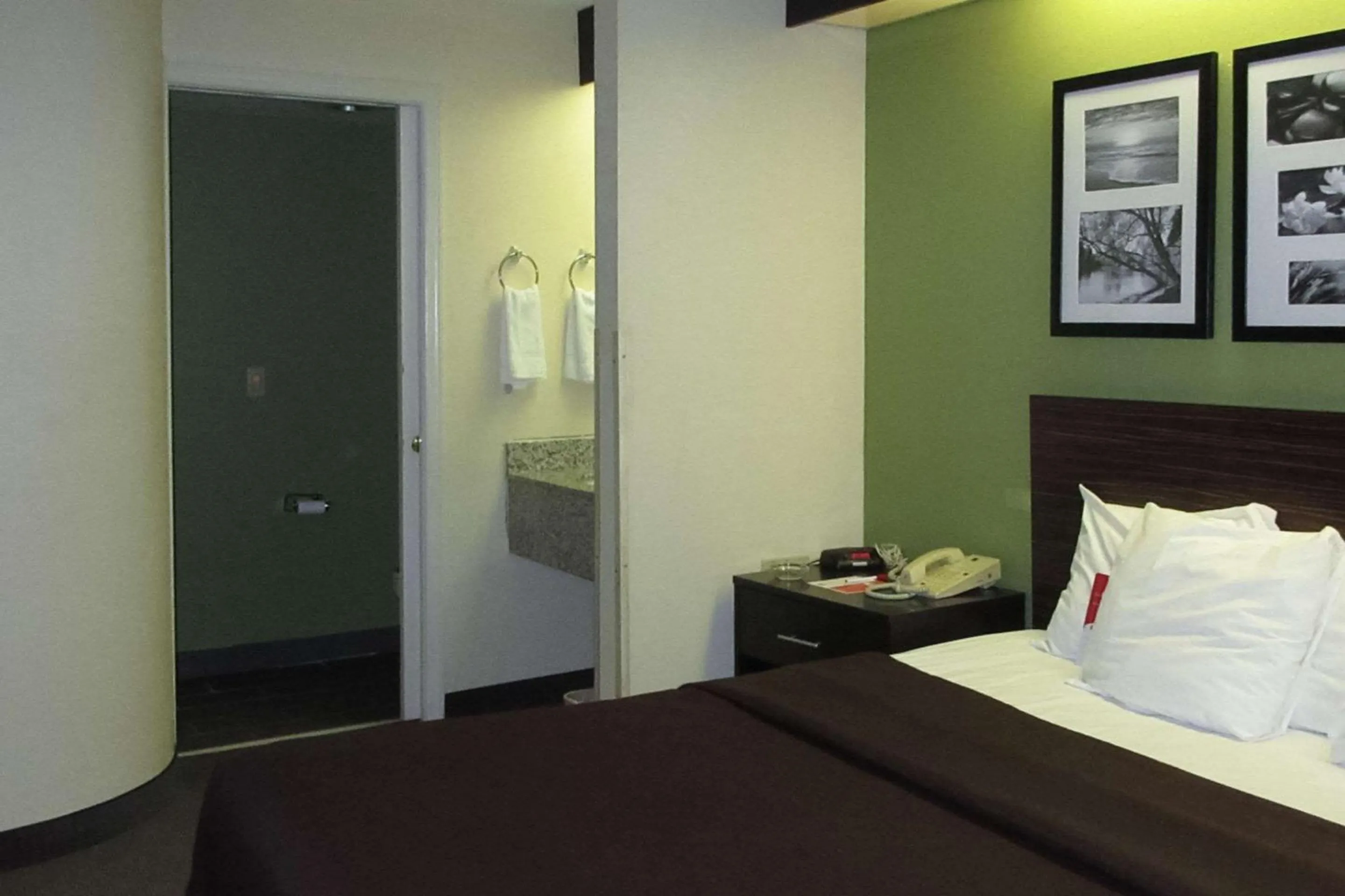 Queen Room - Non Smoking in Rodeway Inn Albany South