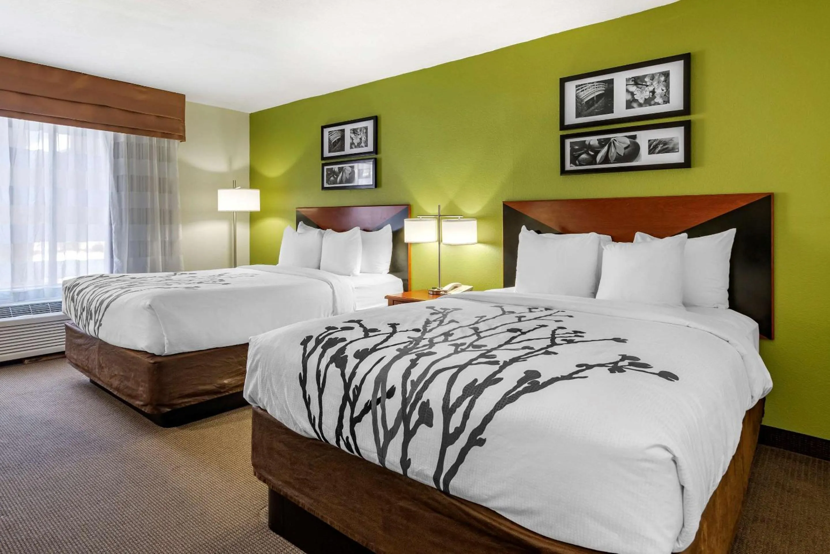 Queen Room with Two Queen Beds - Accessible/Non-Smoking  in Sleep Inn & Suites Stockbridge Atlanta South