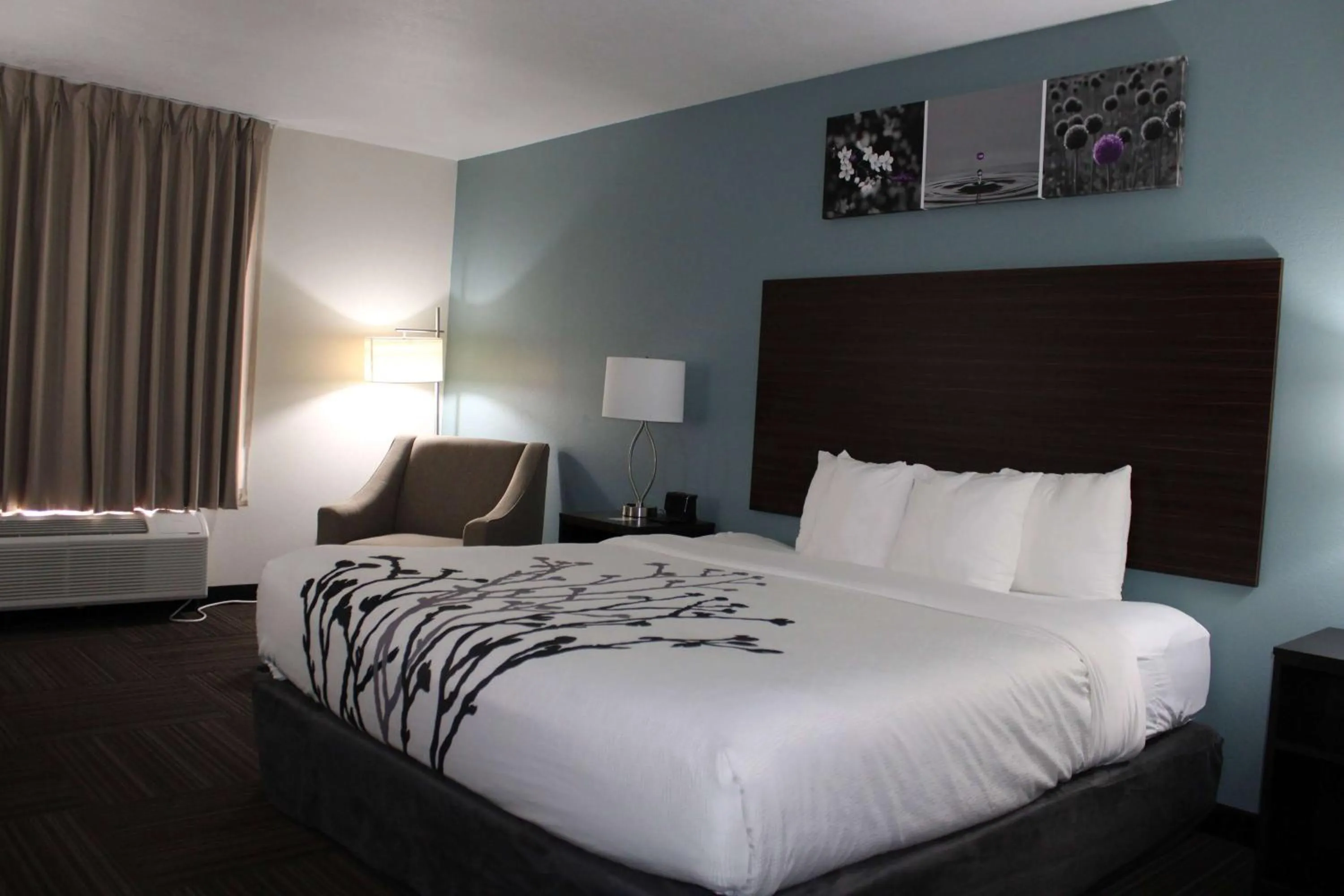 King Room with Roll-in Shower - Mobility Access/Non-Smoking in Sleep Inn & Suites