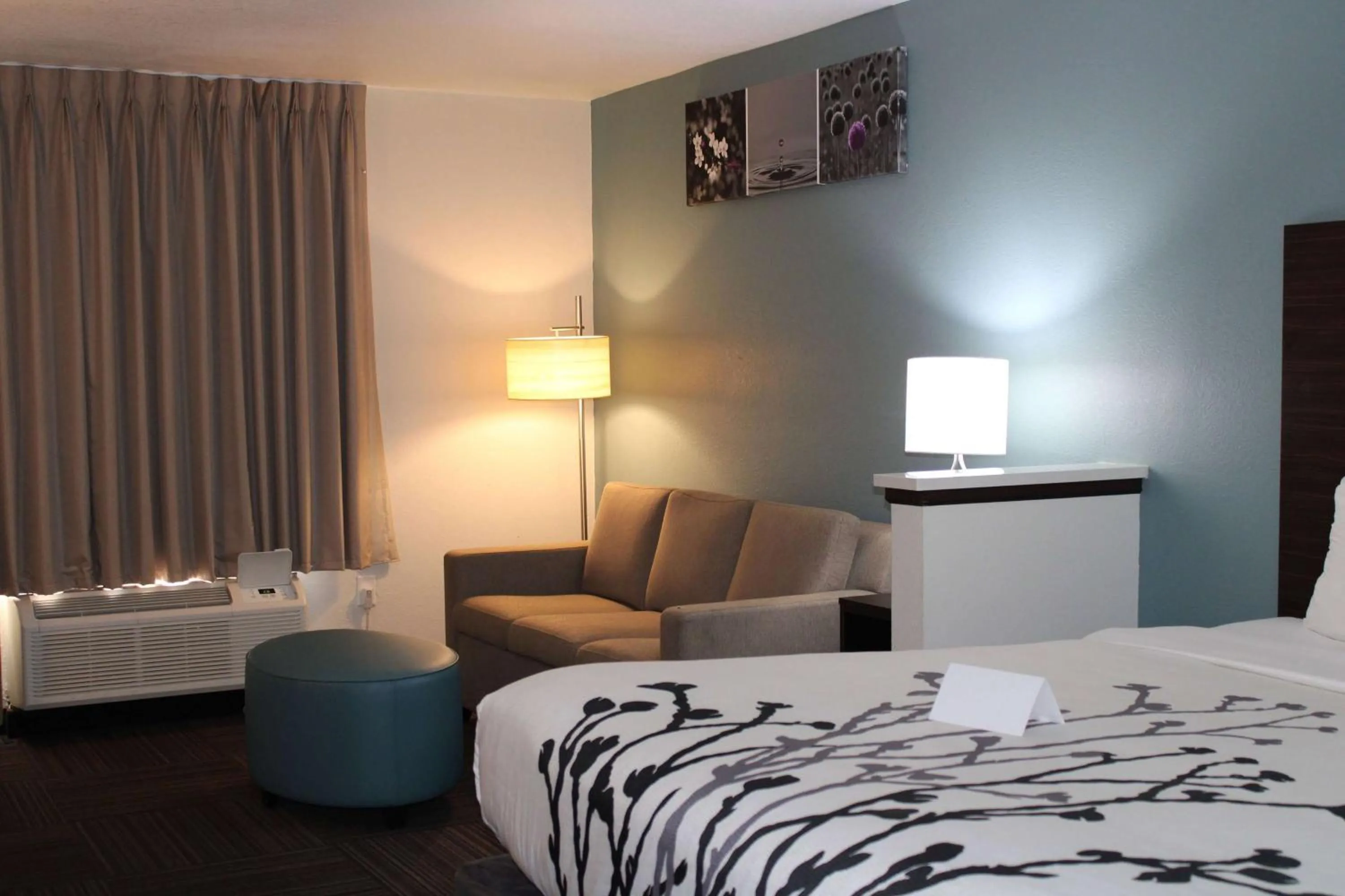 King Studio Suite - Non-Smoking in Sleep Inn & Suites