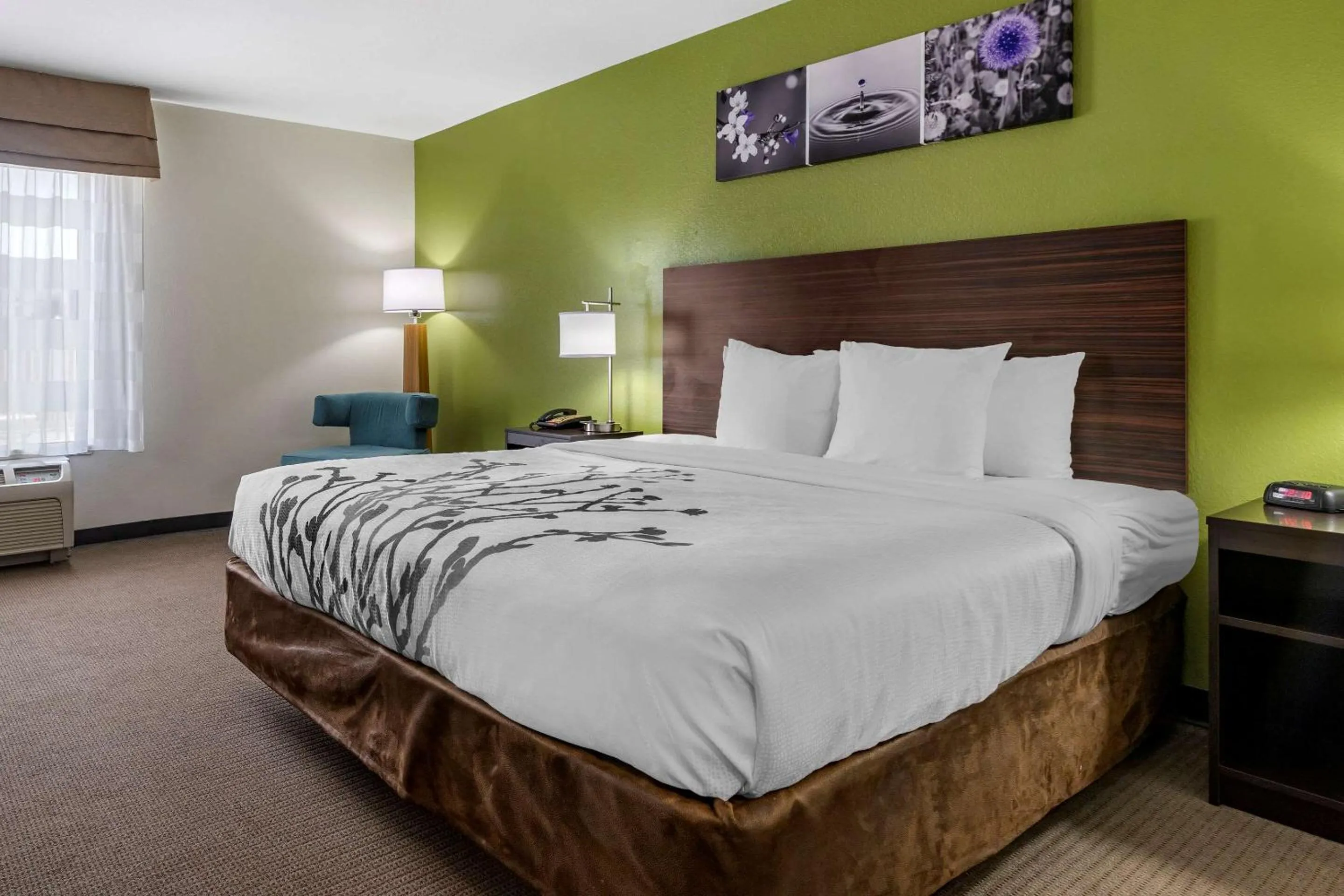 King Room - Non-Smoking in Sleep Inn & Suites