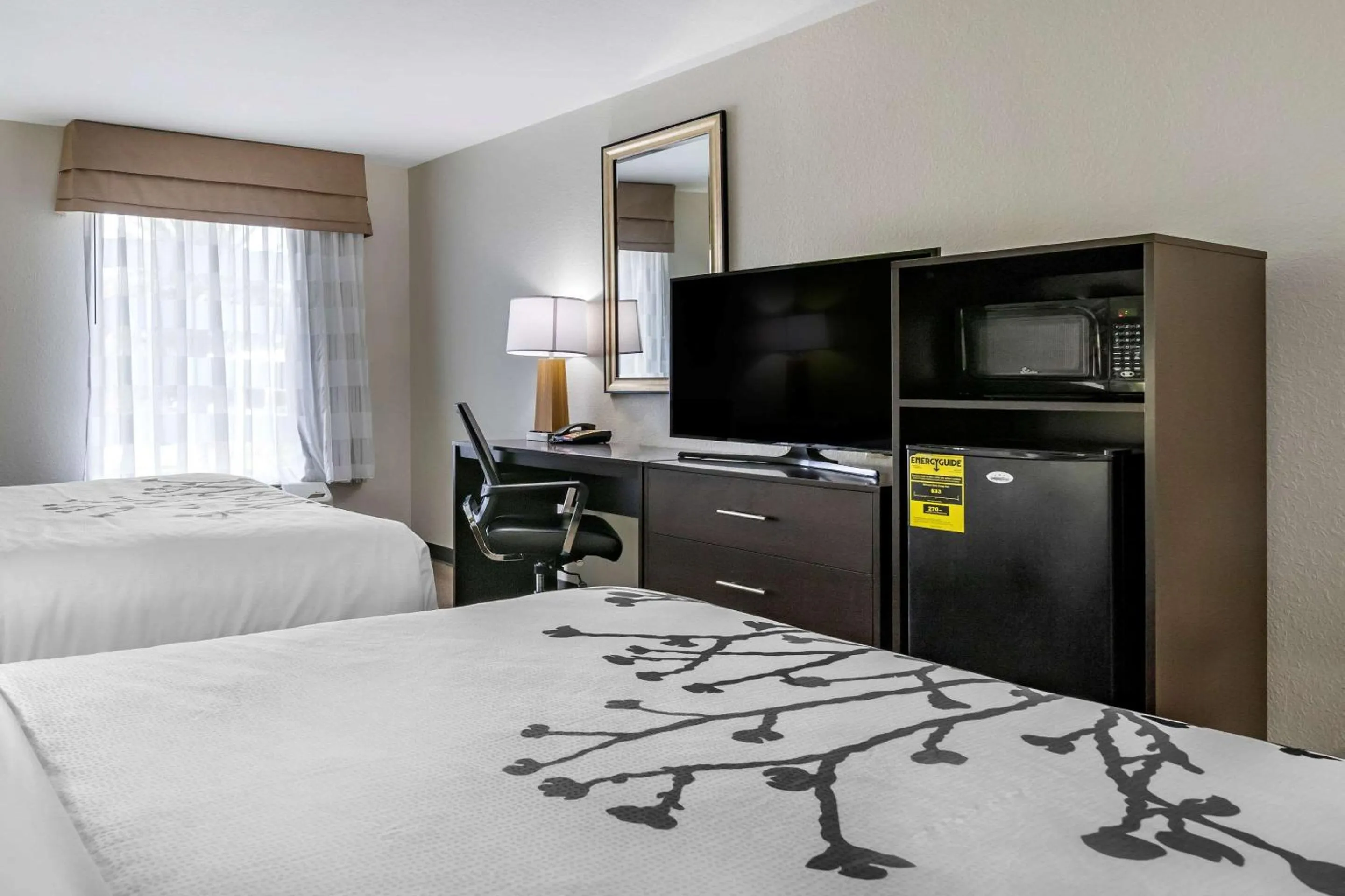 Queen Room with Two Queen Beds - Accessible/Non-Smoking  in Sleep Inn & Suites