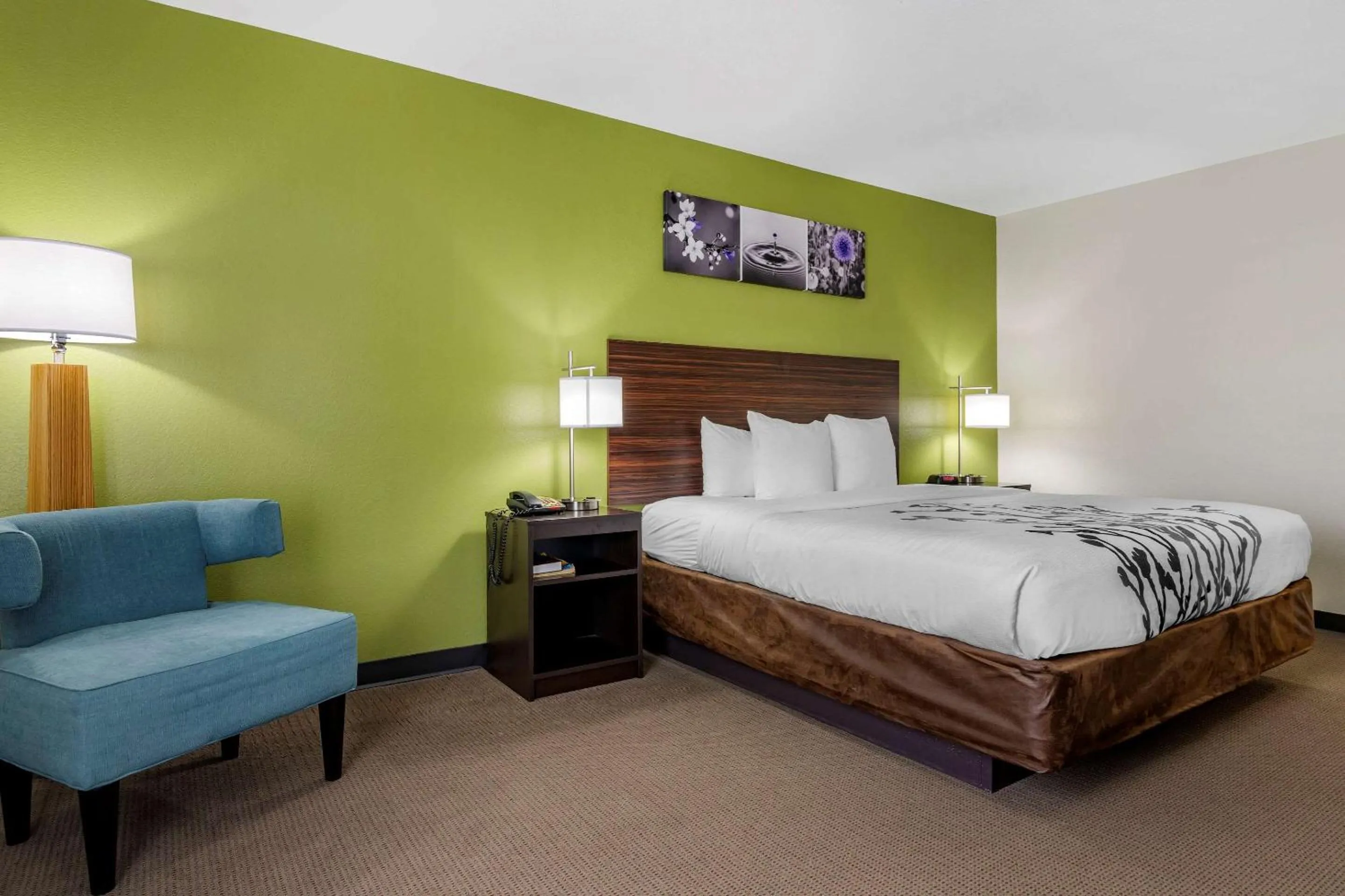 King Room - Accessible/Non-Smoking in Sleep Inn & Suites
