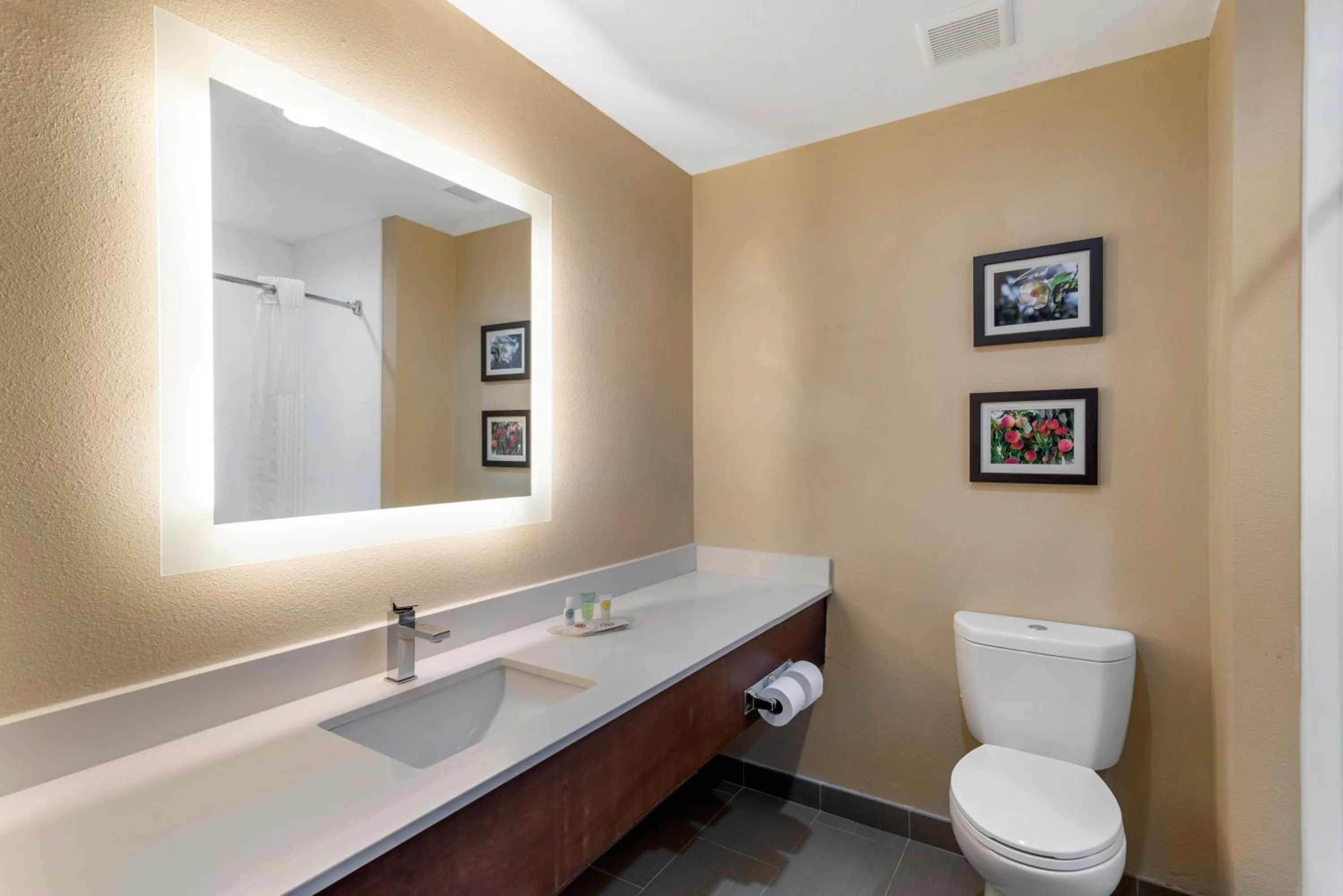 Queen Suite with Two Queen Beds - Non-Smoking in Comfort Suites Locust Grove Atlanta South