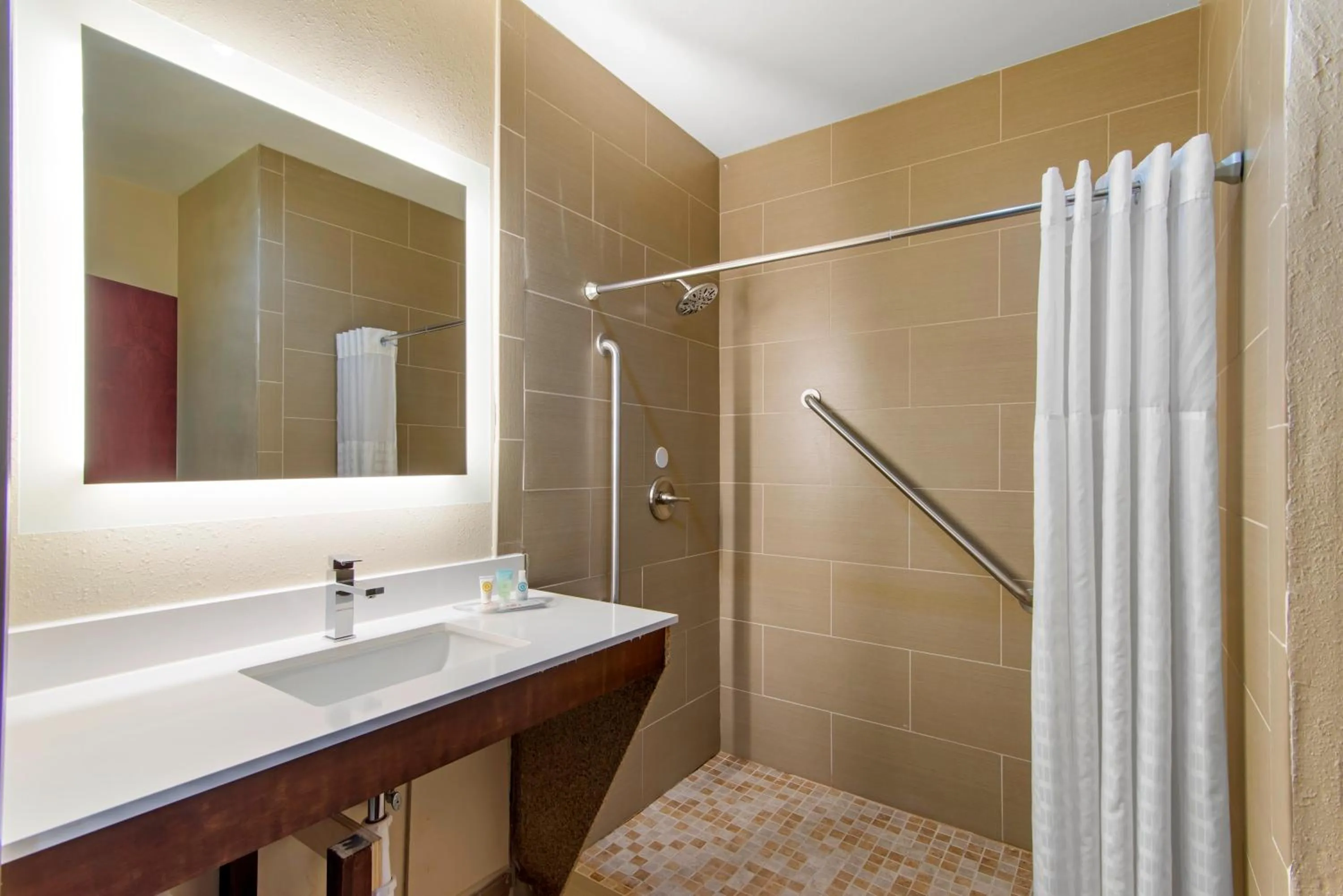 King Suite - Disability Access/Non-Smoking in Comfort Suites Locust Grove Atlanta South