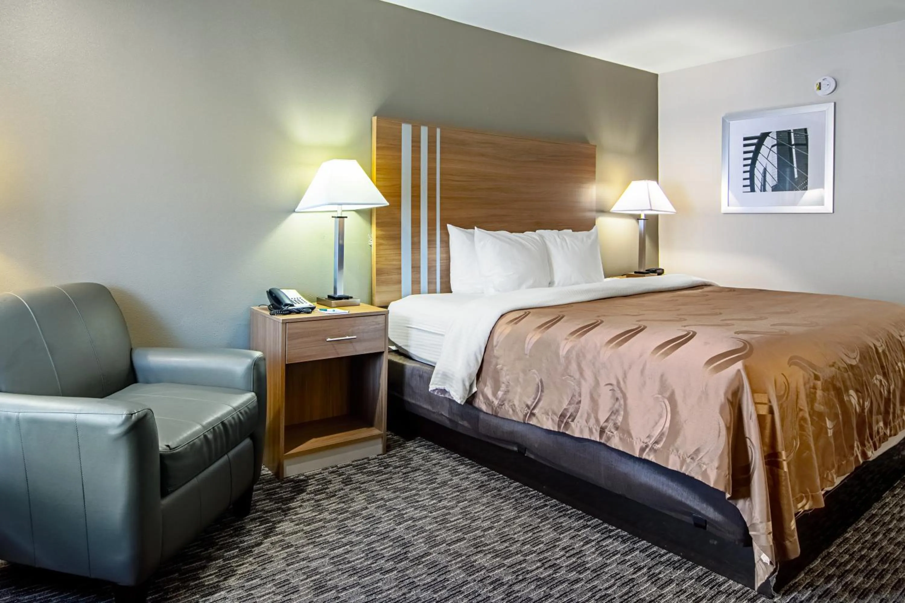 King Room - Smoking  in Quality Inn Lagrange East I-85