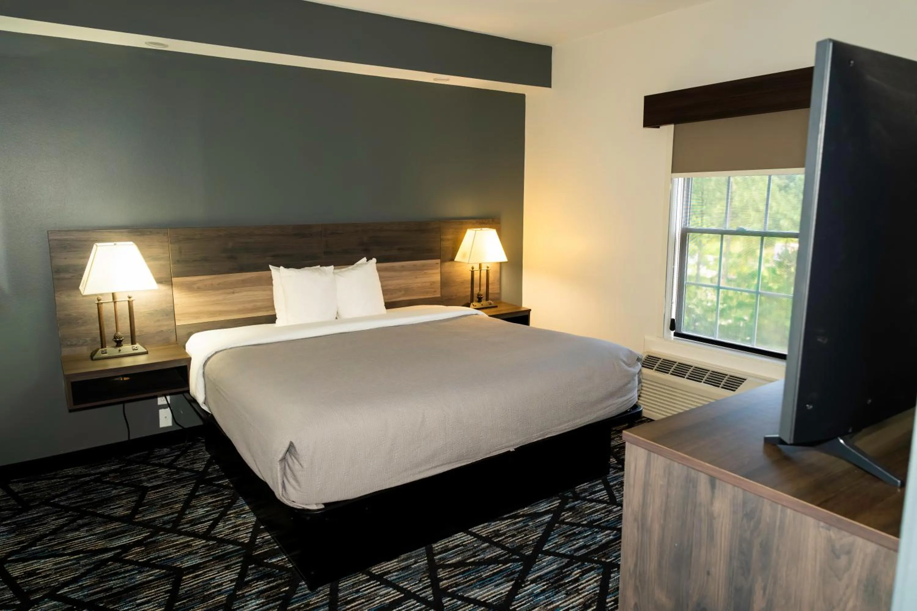 King Room - Non-Smoking in Quality Inn Rome South