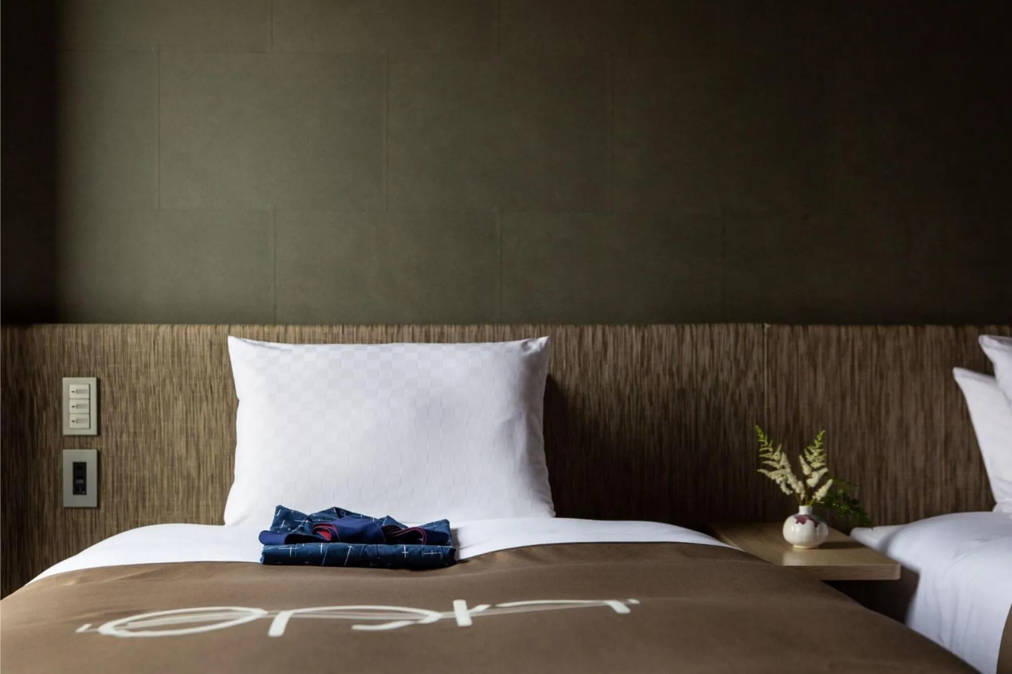 Deluxe Twin Room - single occupancy in eph TAKAYAMA