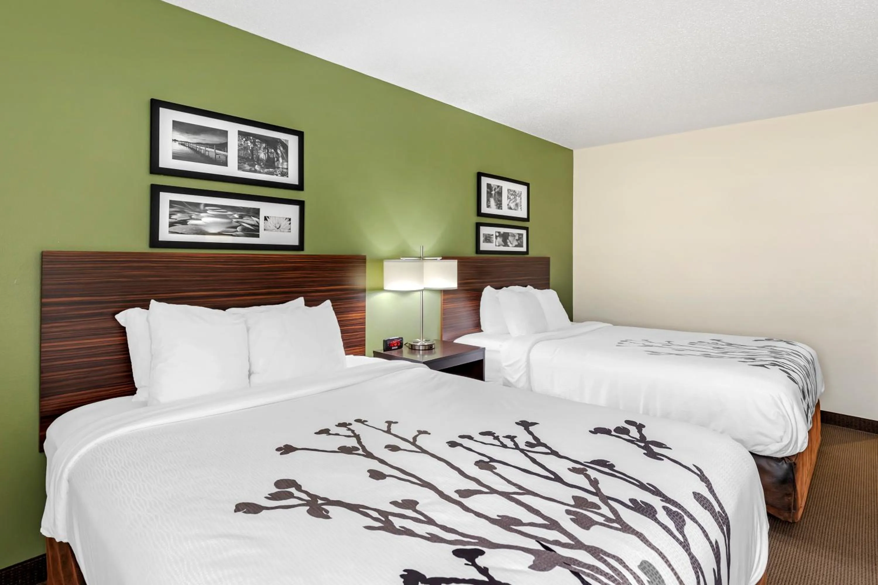 Queen Room with Two Queen Beds - Non-Smoking in Sleep Inn & Suites Charles City