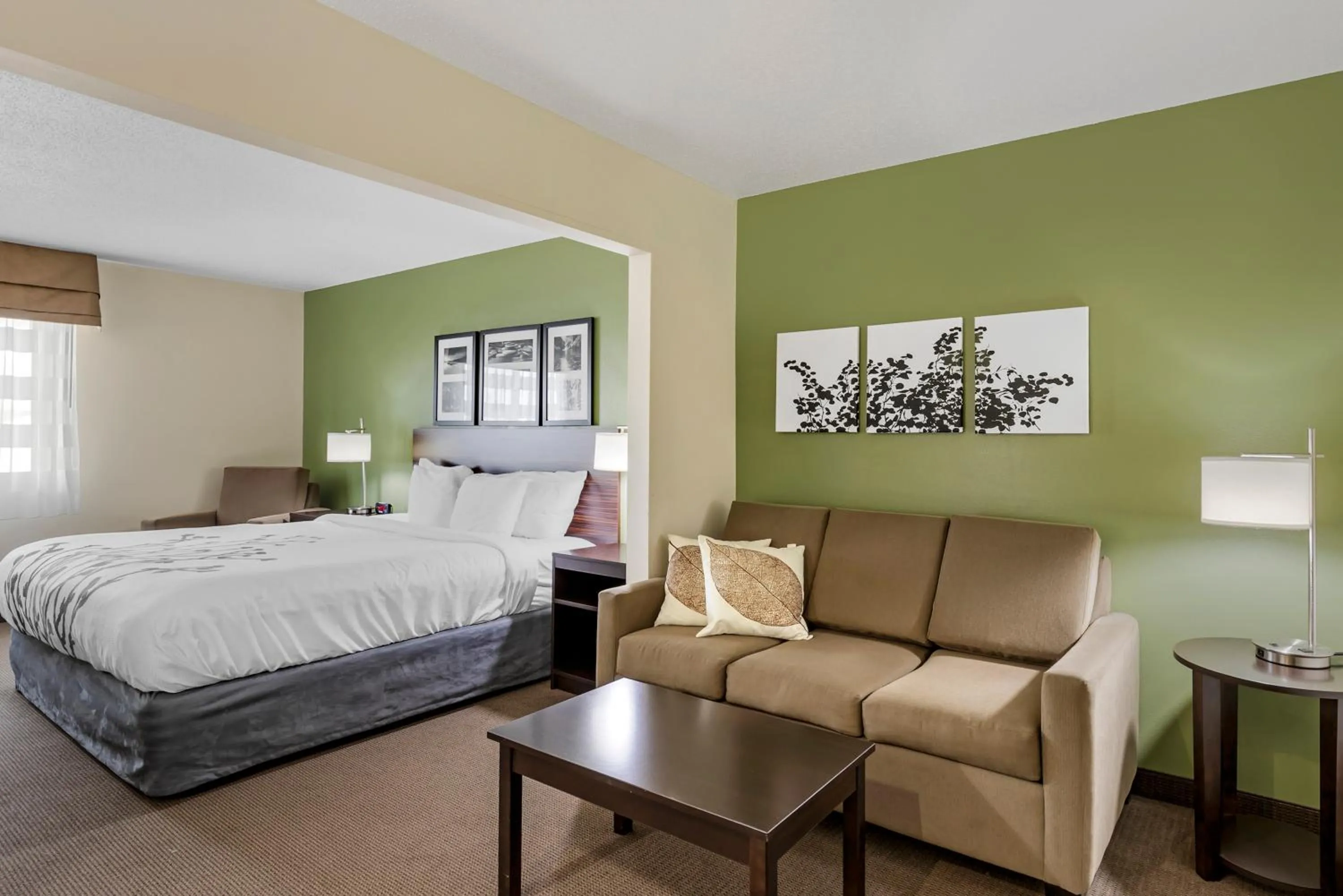 King Suite - Accessible/Non-Smoking in Sleep Inn & Suites Charles City