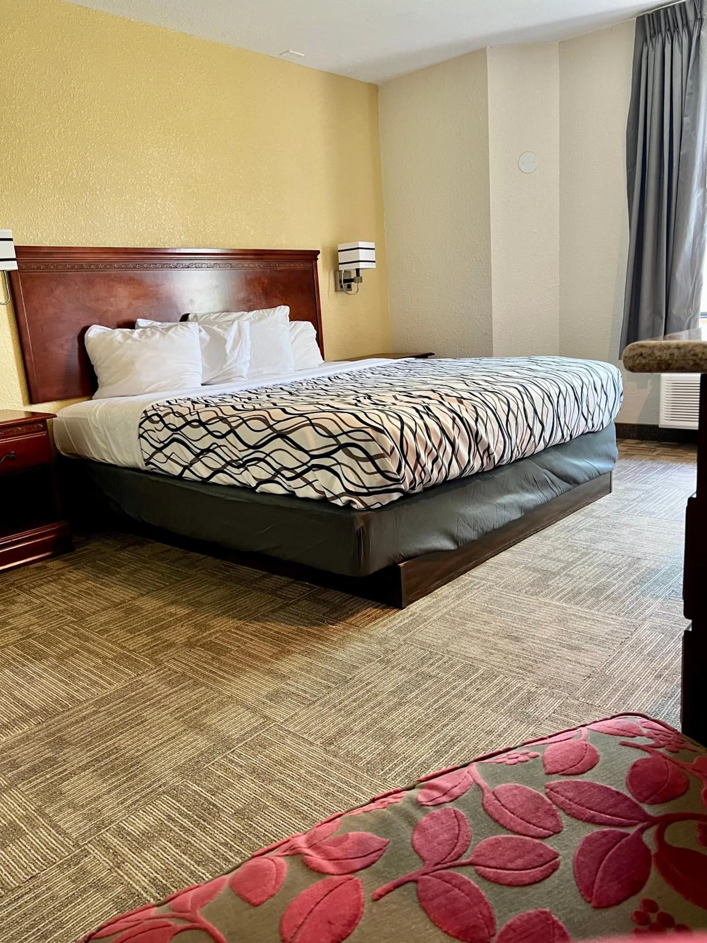 King Room with Transfer Shower - Accessible/Non-Smoking in Rodeway Inn Boise Airport