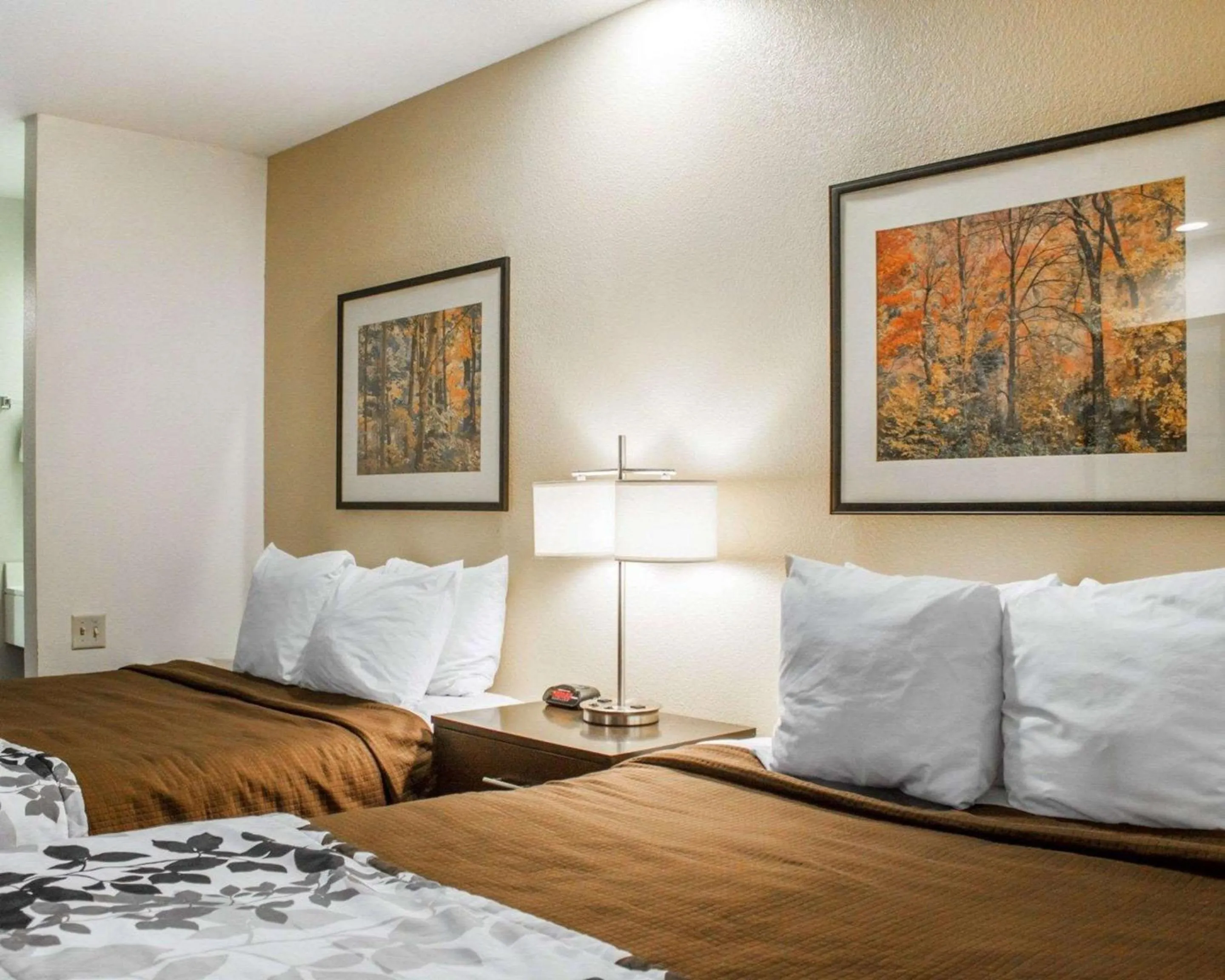 Queen Room with Two Queen Beds - Non Smoking/Pet Friendly in Rodeway Inn Boise Airport