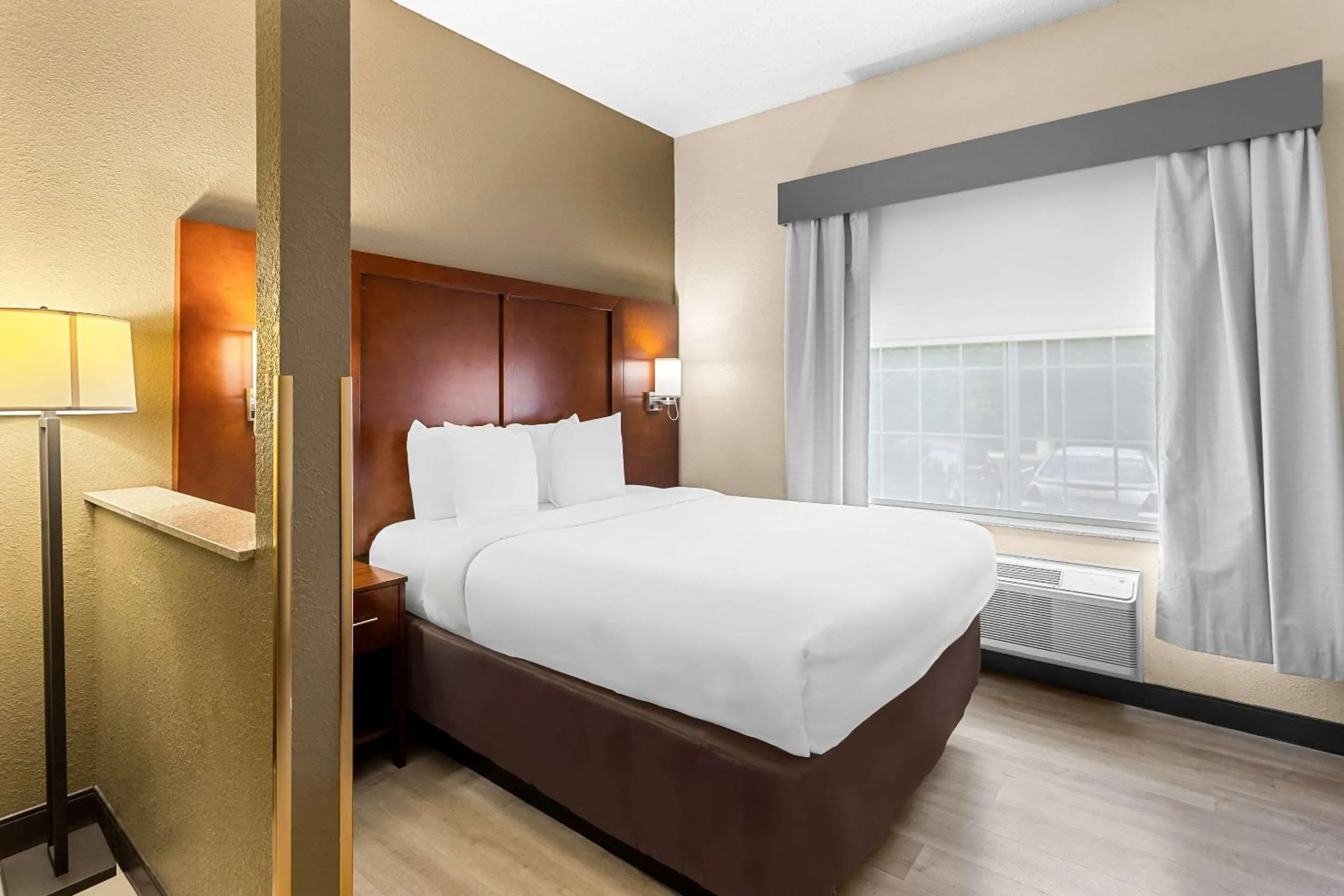 One-Bedroom Queen Suite - Disability Access/Non-Smoking in Comfort Suites Grayslake near Libertyville North